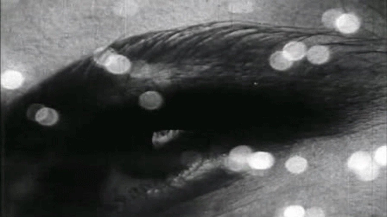 Triptych on Matter and Death Background