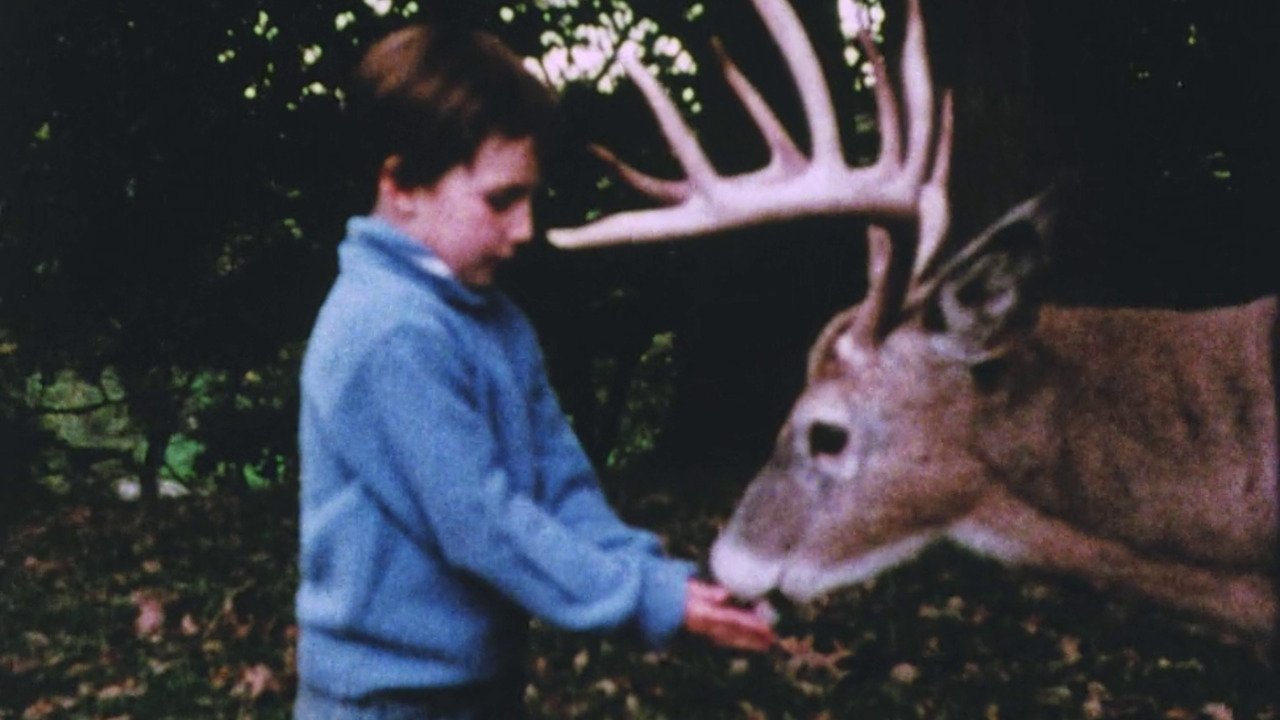 The Hart of London Background
