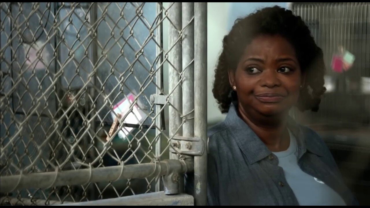 The Free World Background