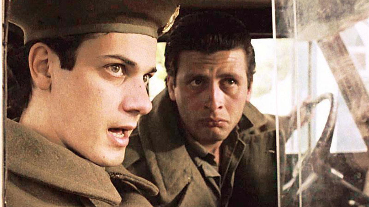 Loafing and Camouflage Background