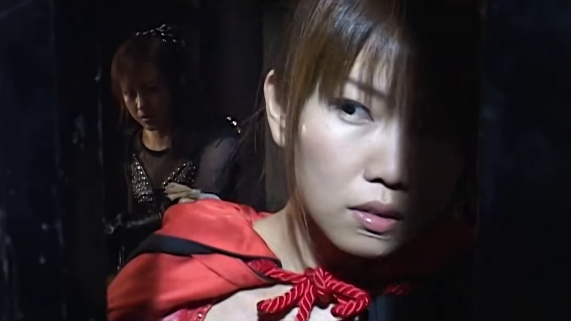 Ninja Vixens: Web of Passion Background