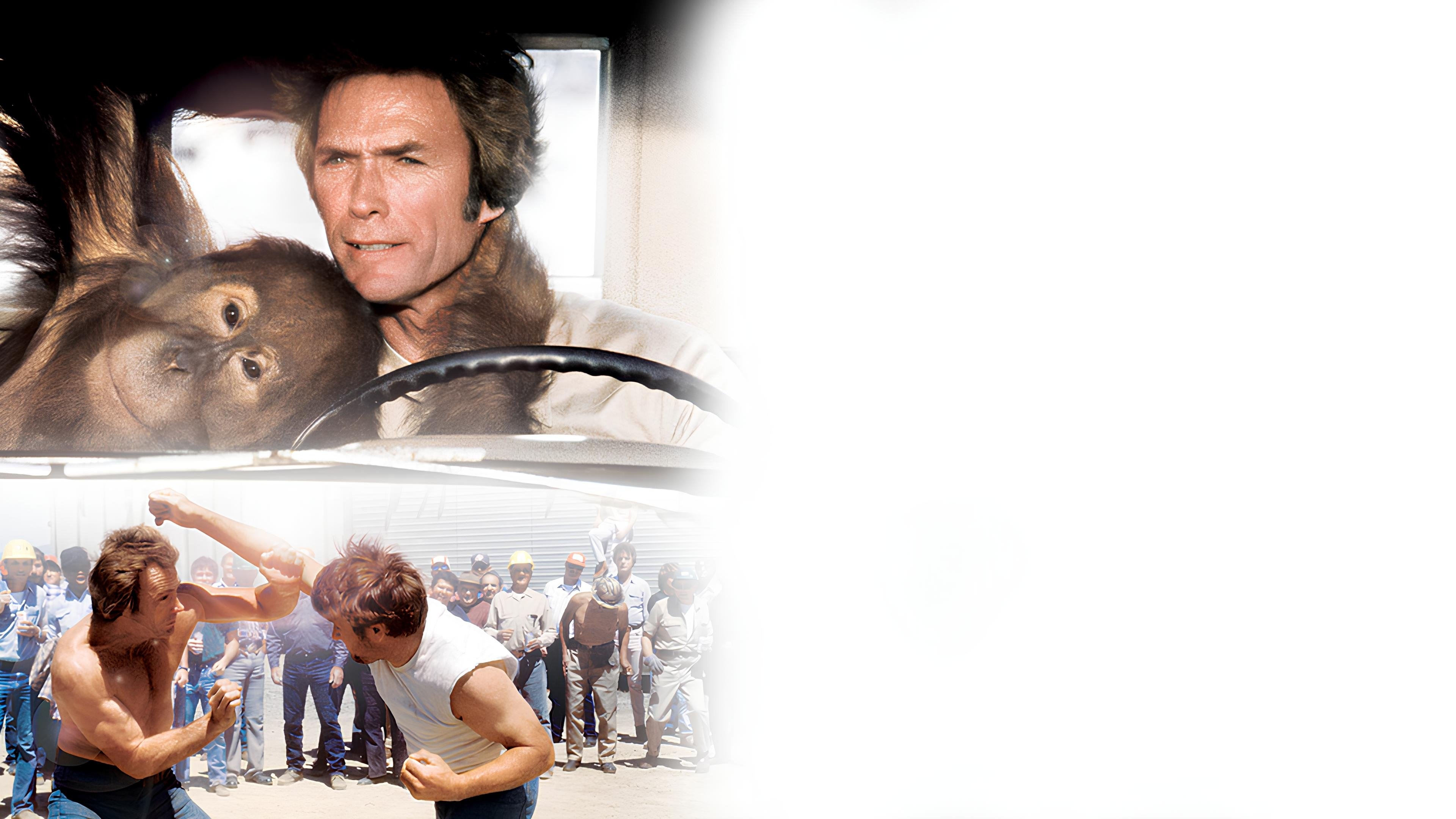 Every Which Way but Loose Background