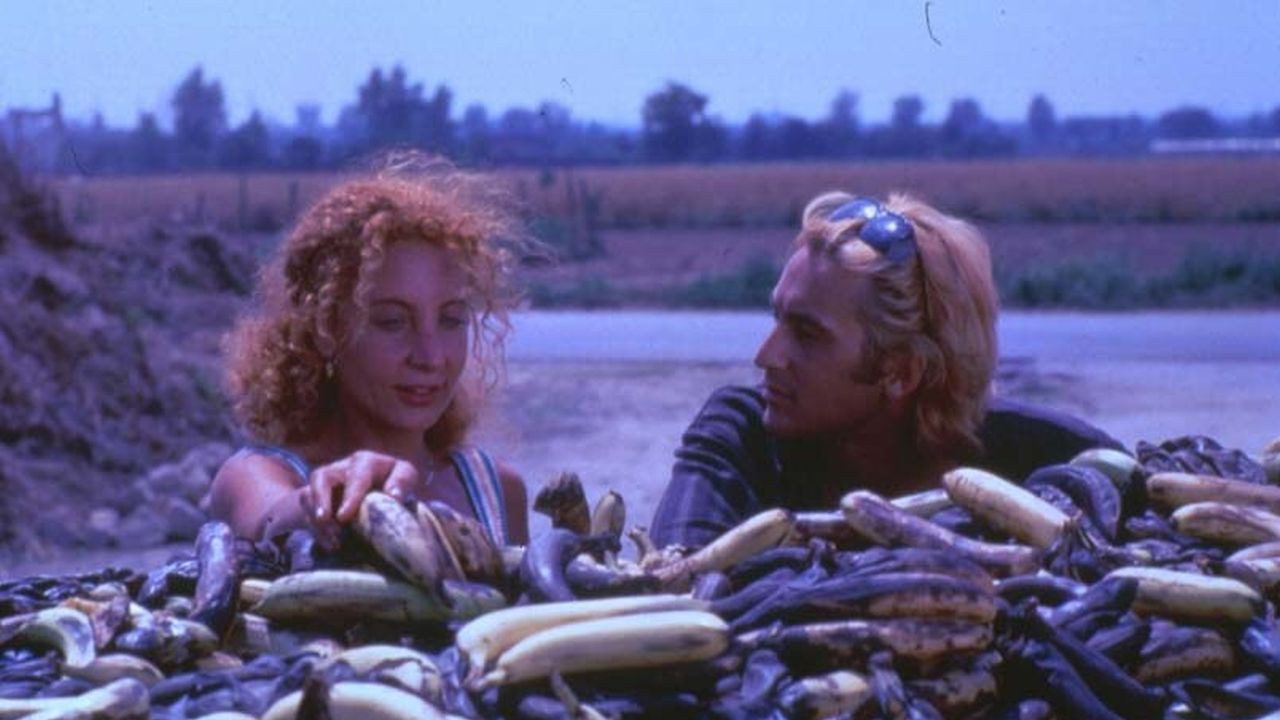 Black Holes Background