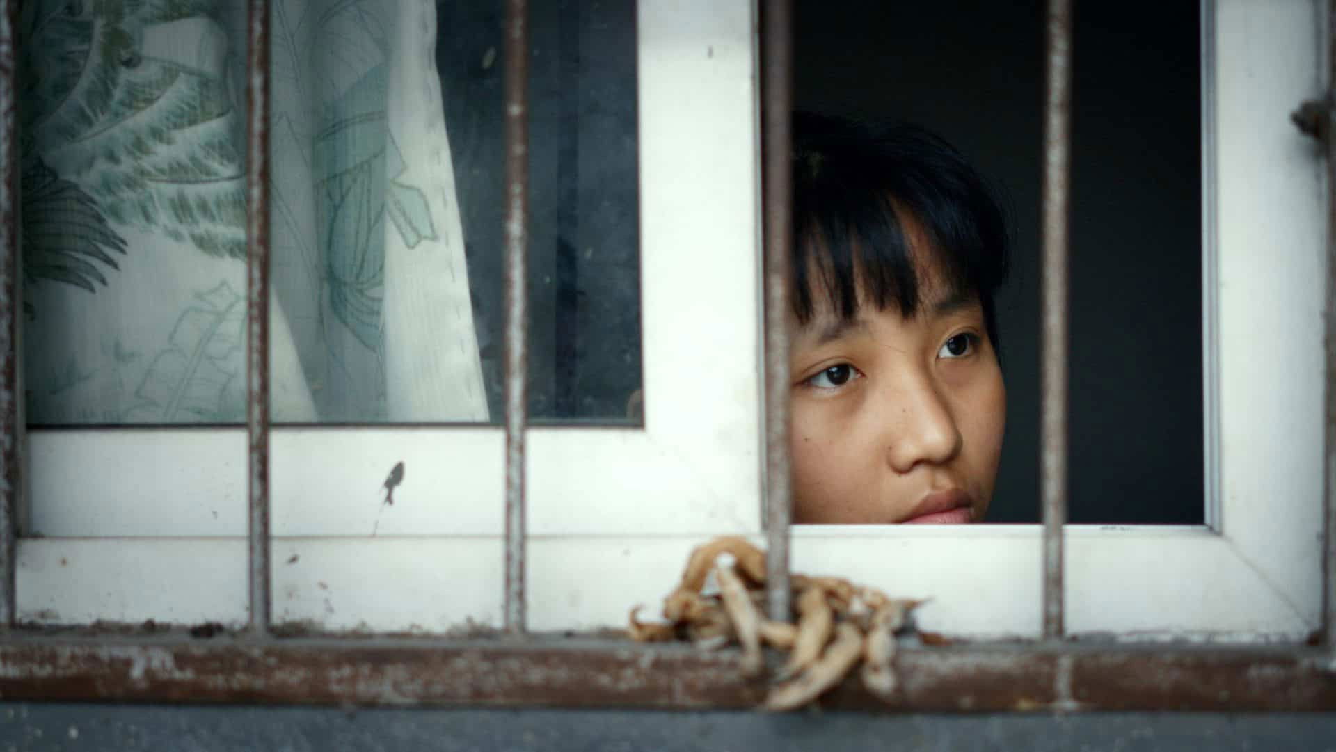 After the Rain Background