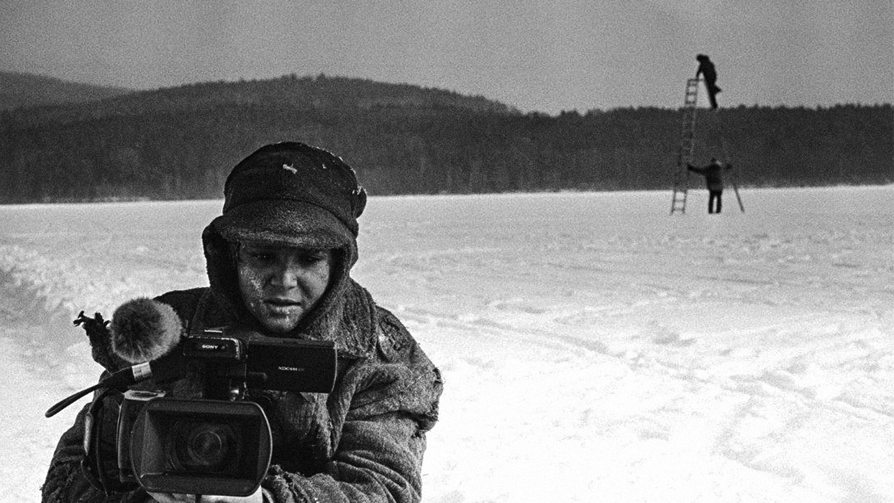 11 Colours of the Bird Background