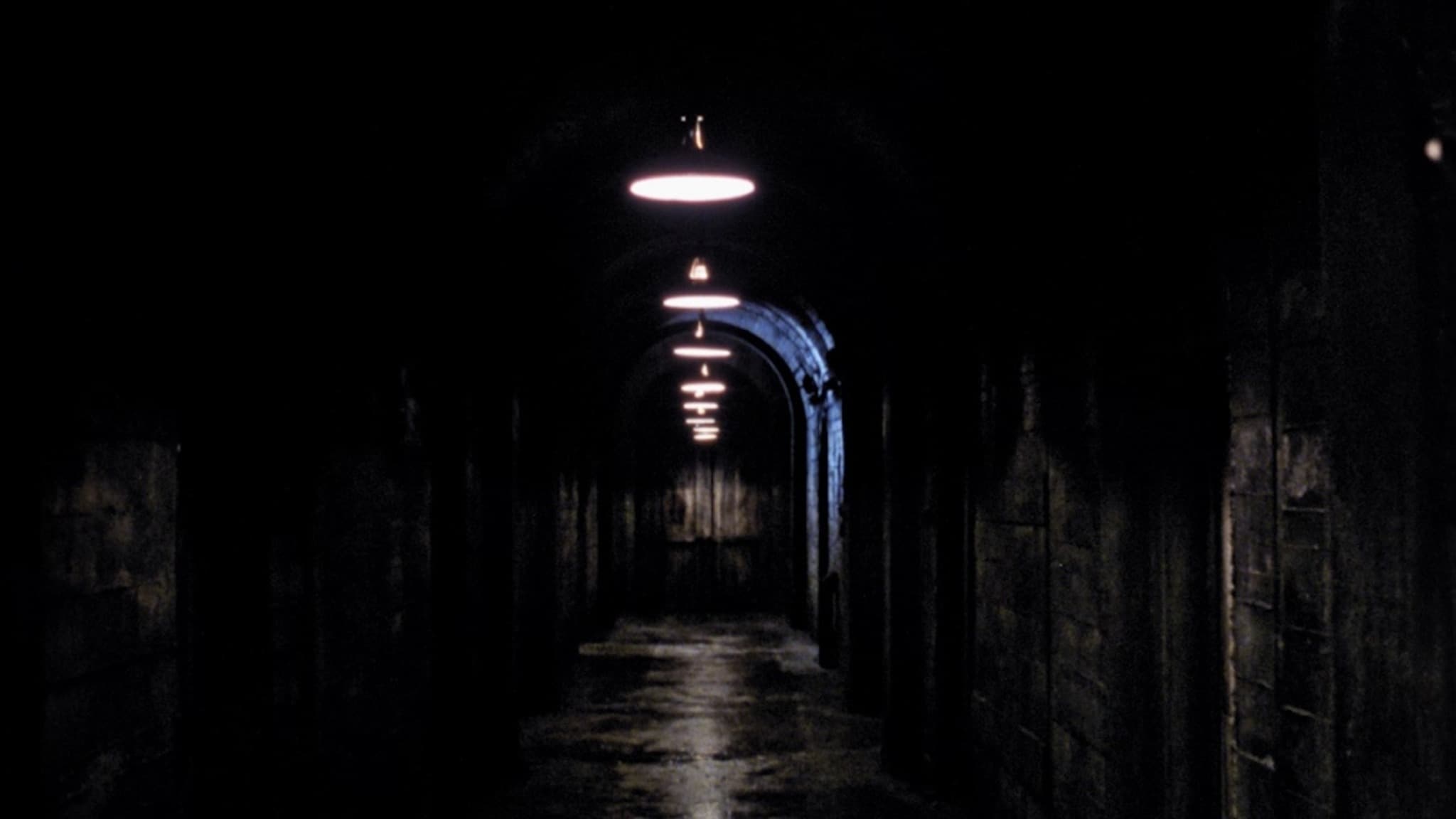 The Bunker Background