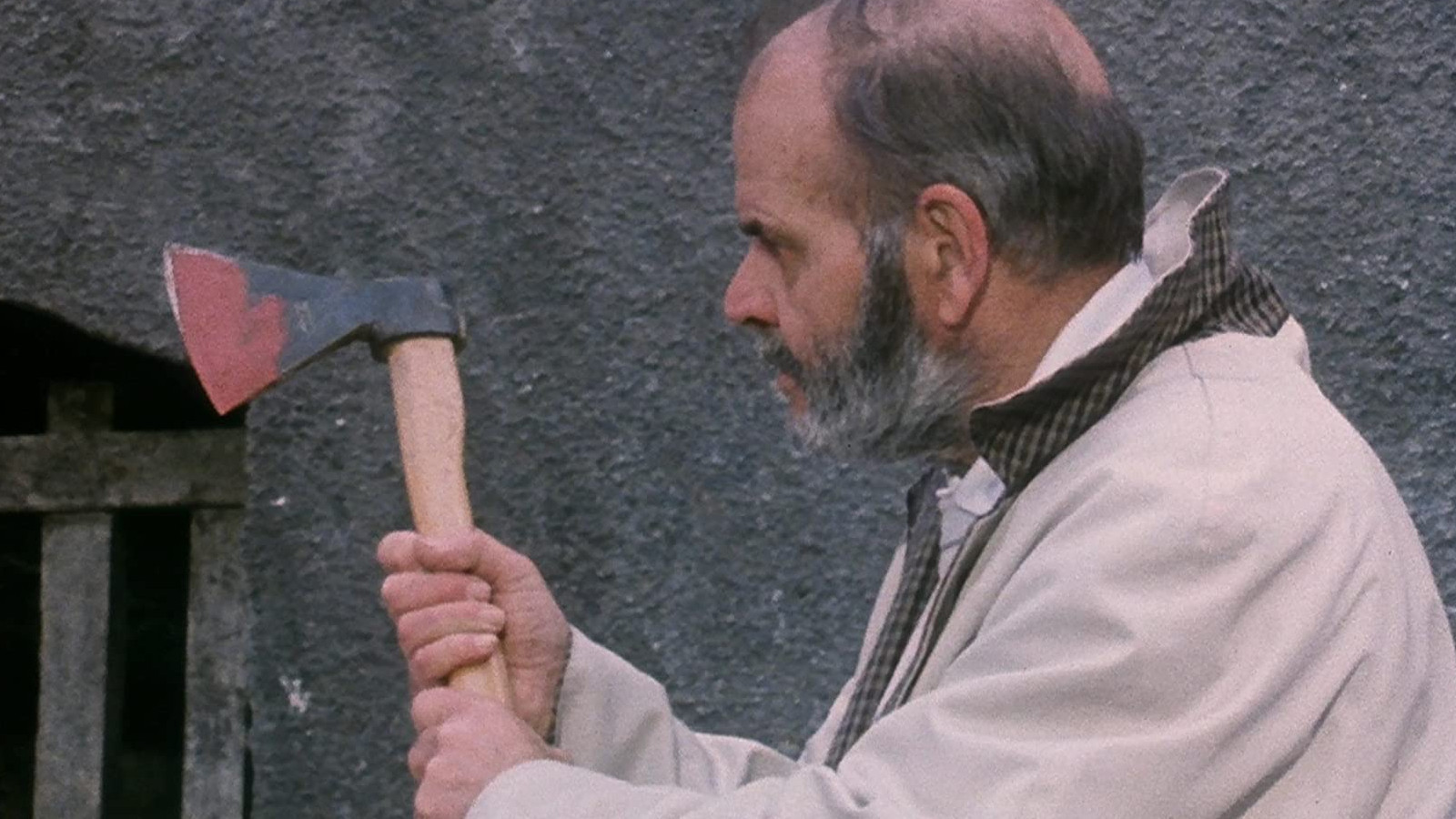 A Cat in the Brain Background