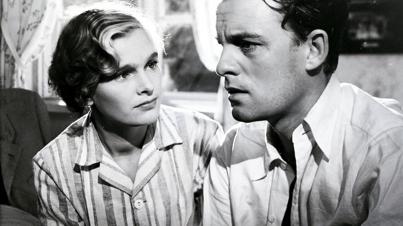 The White Cat Background