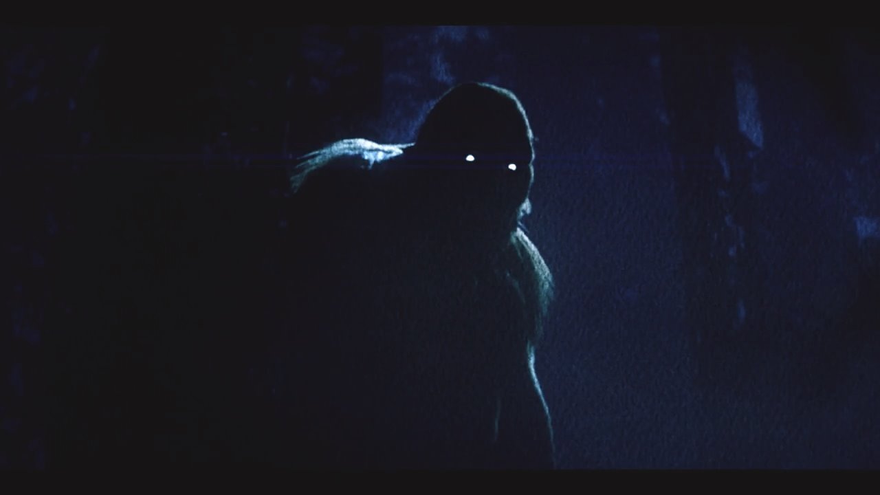 On the Trail of Bigfoot: Land of the Missing Background