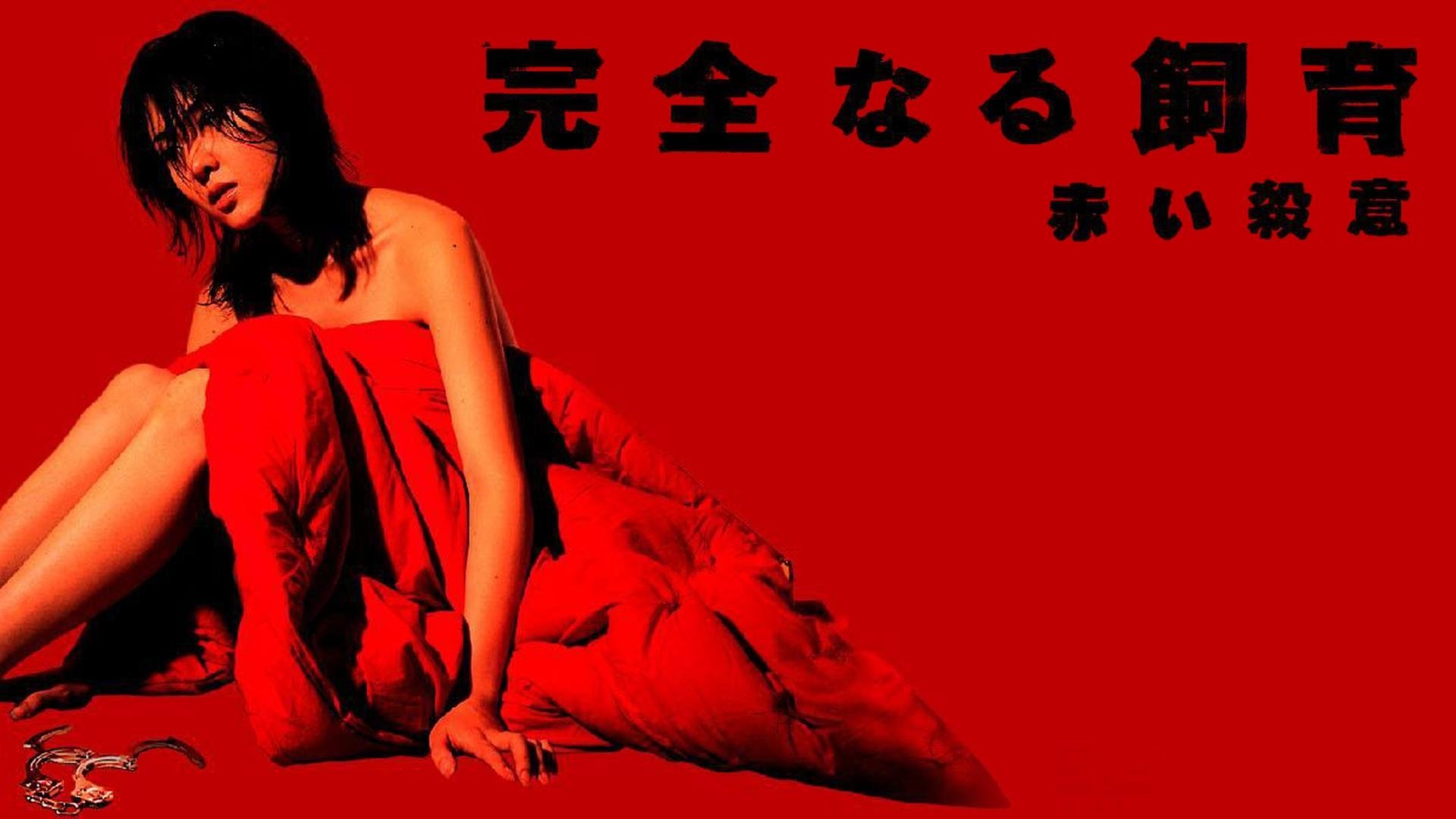 Perfect Education 6 Background