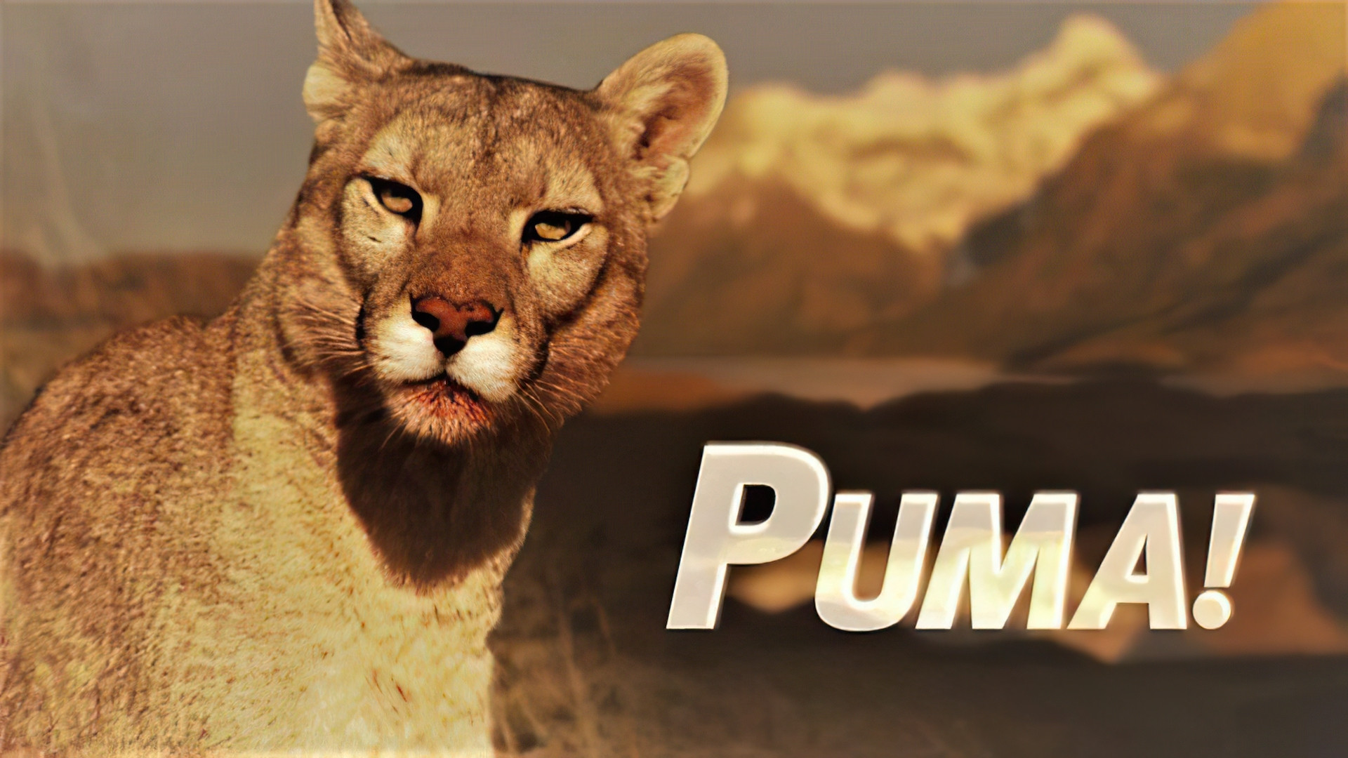 Puma! Background