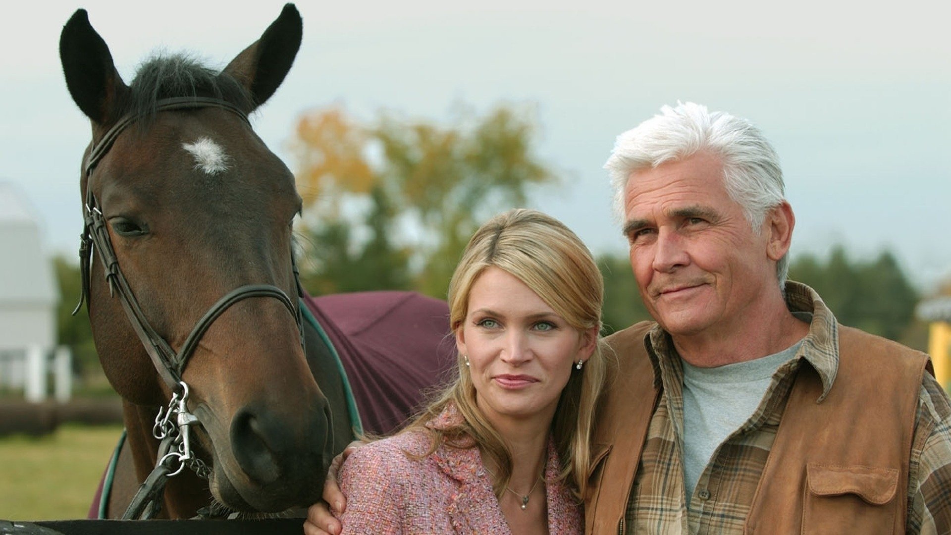 Widow on the Hill Background