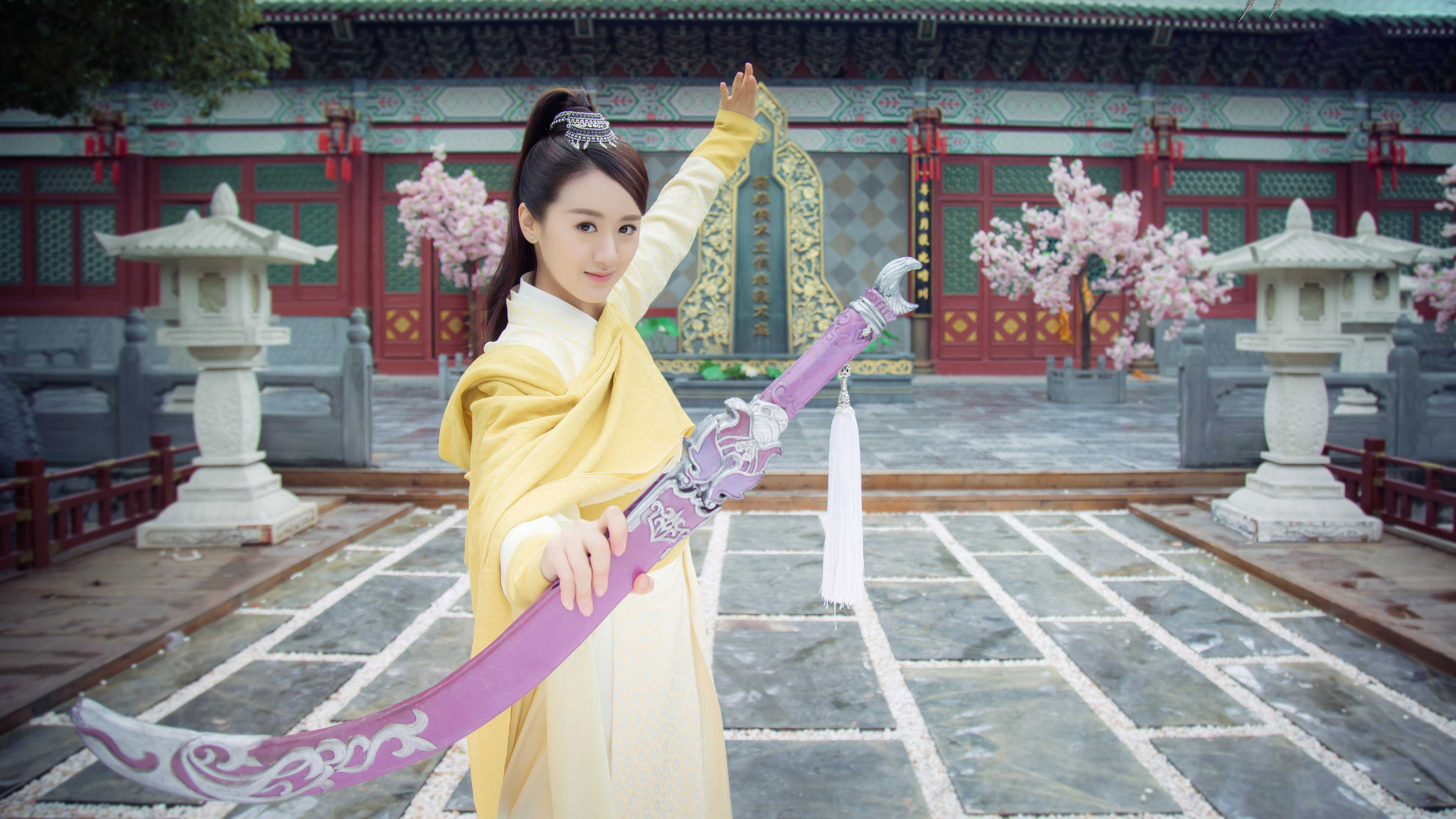 The Legend of Flying Daggers Background