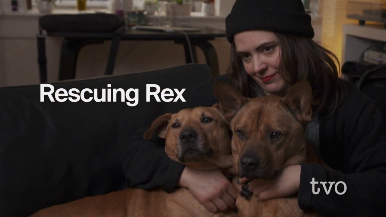 Rescuing Rex Background