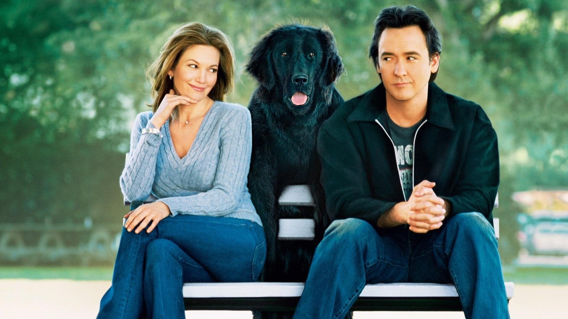 Must Love Dogs Background