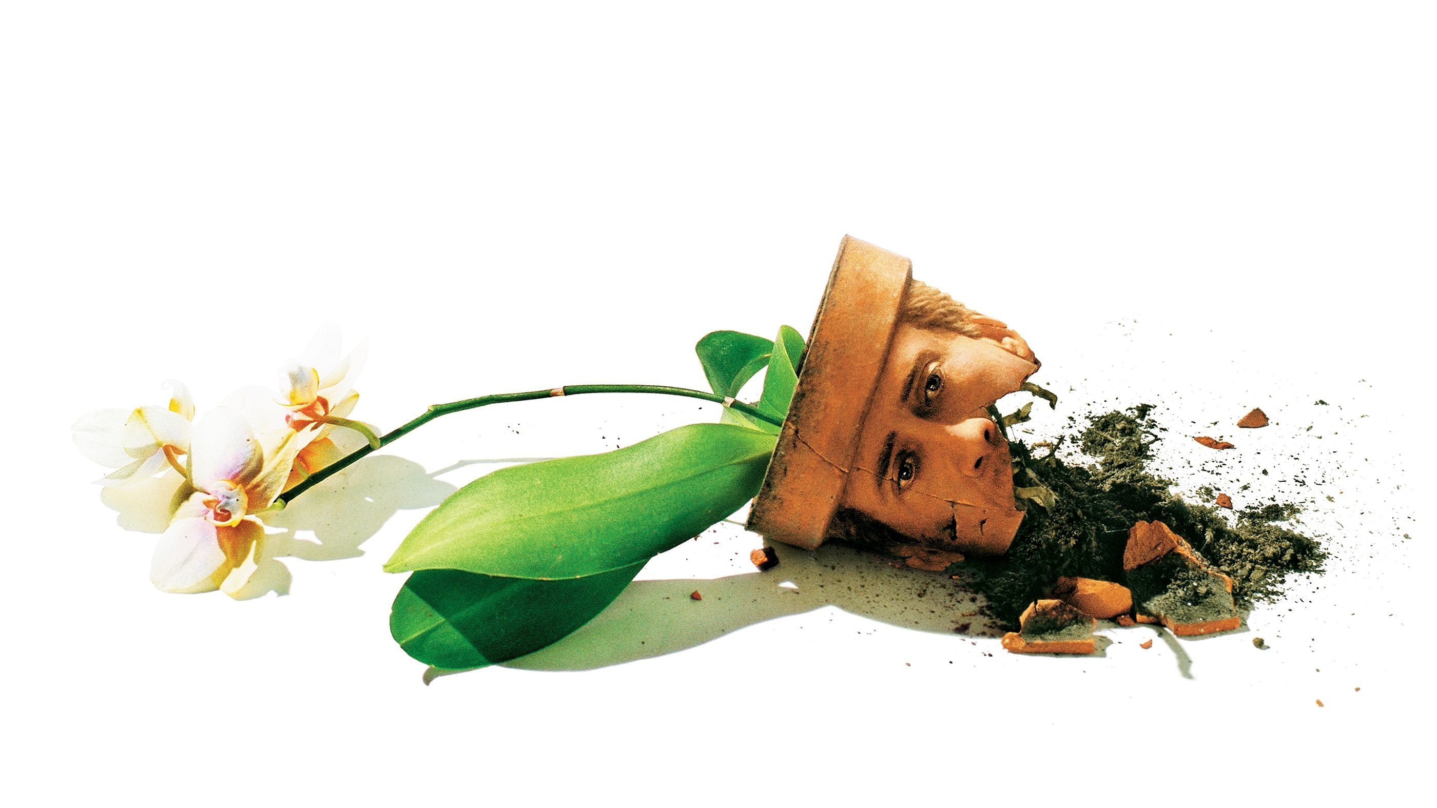 Adaptation. Background