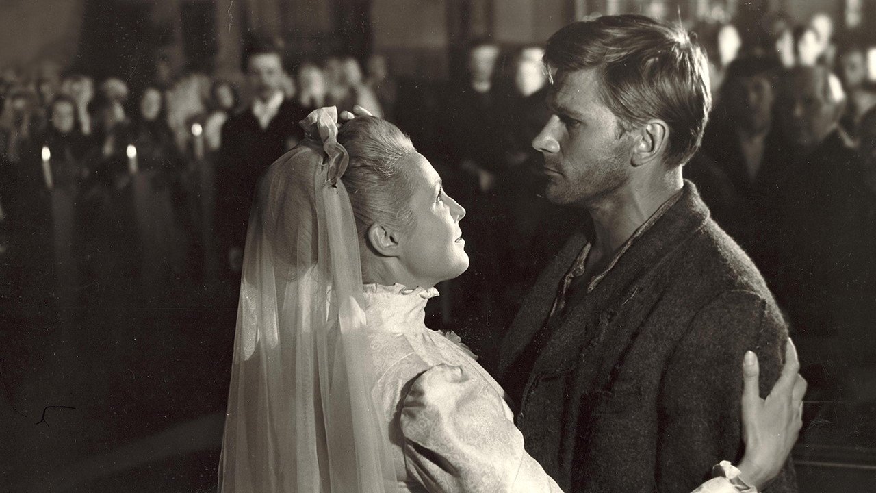 The Swamp Wader Background