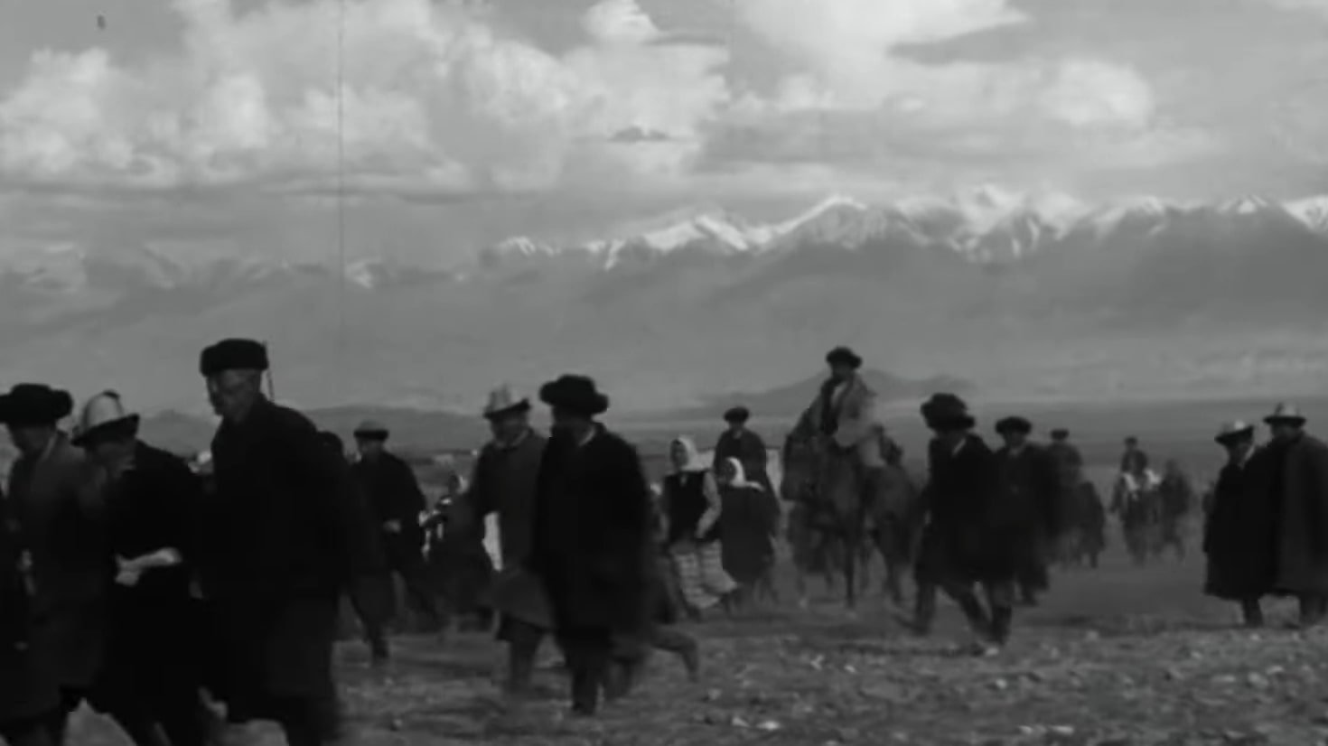 Mother's Field Background