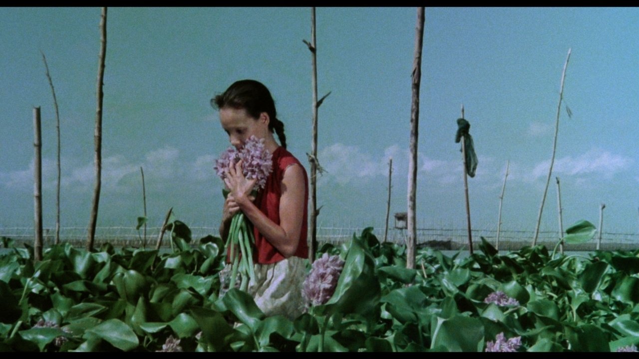 A Speck in the Water Background