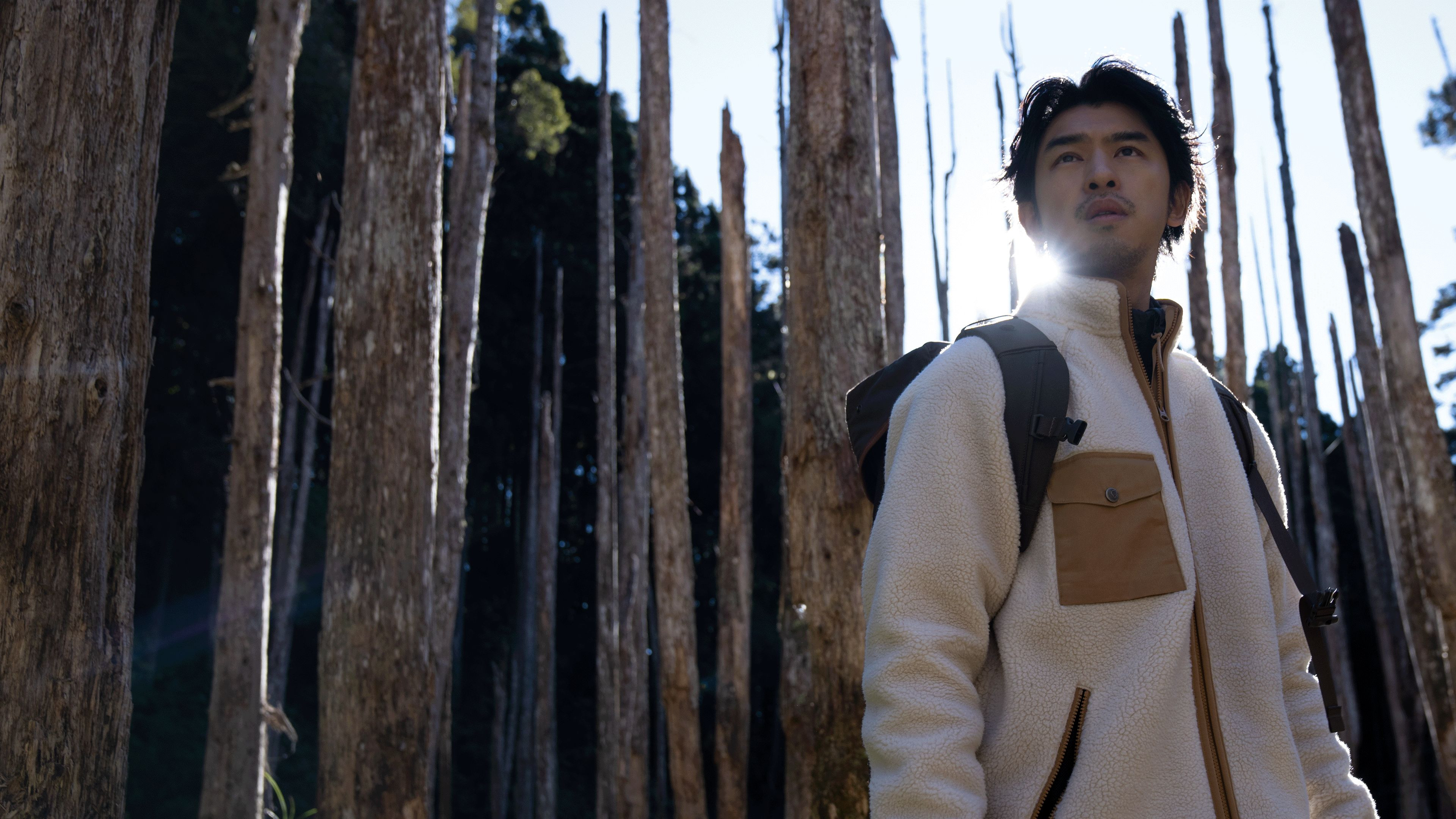 Extreme Forest Background