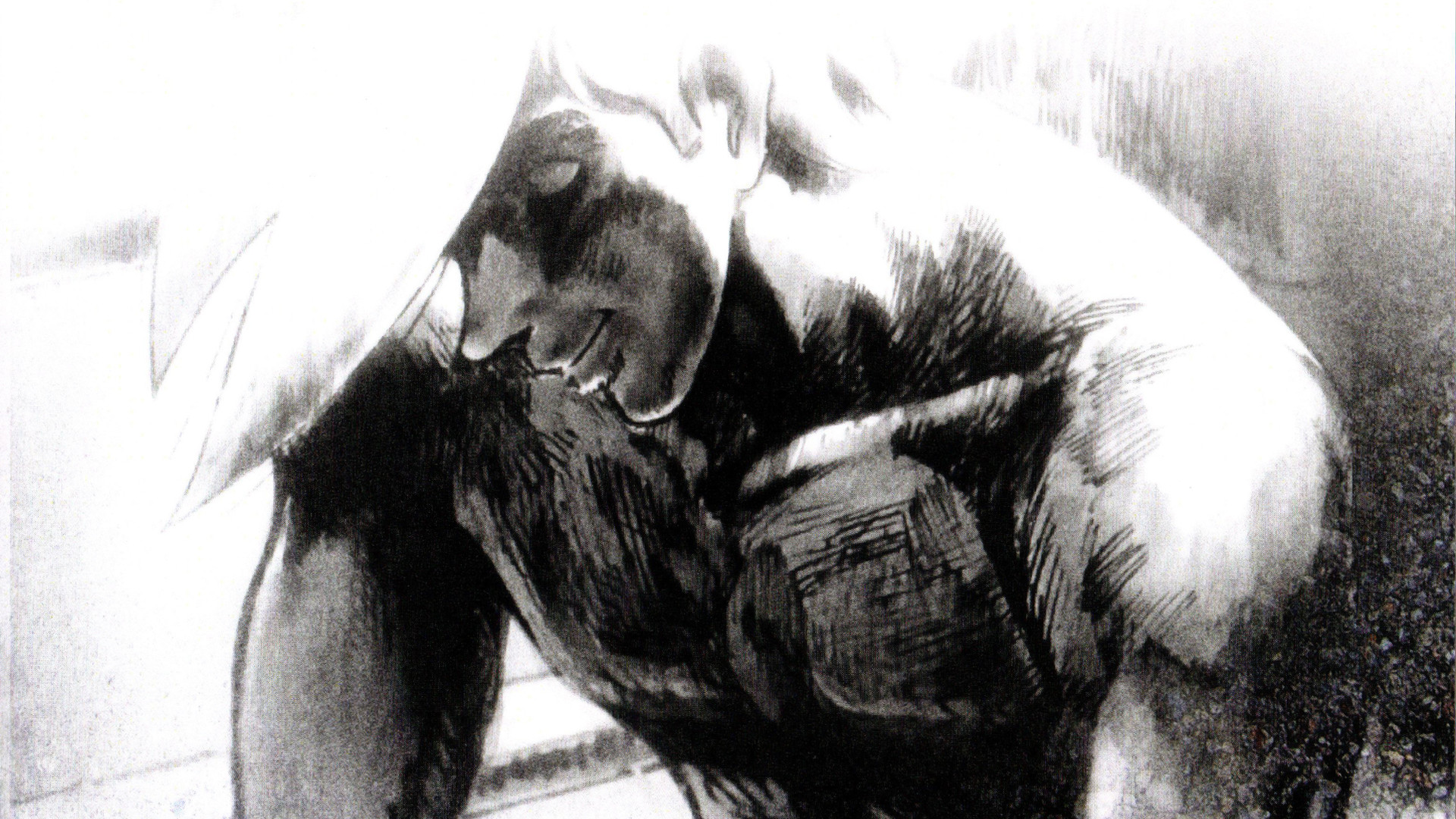 Tomorrow's Joe 2: The Movie Background