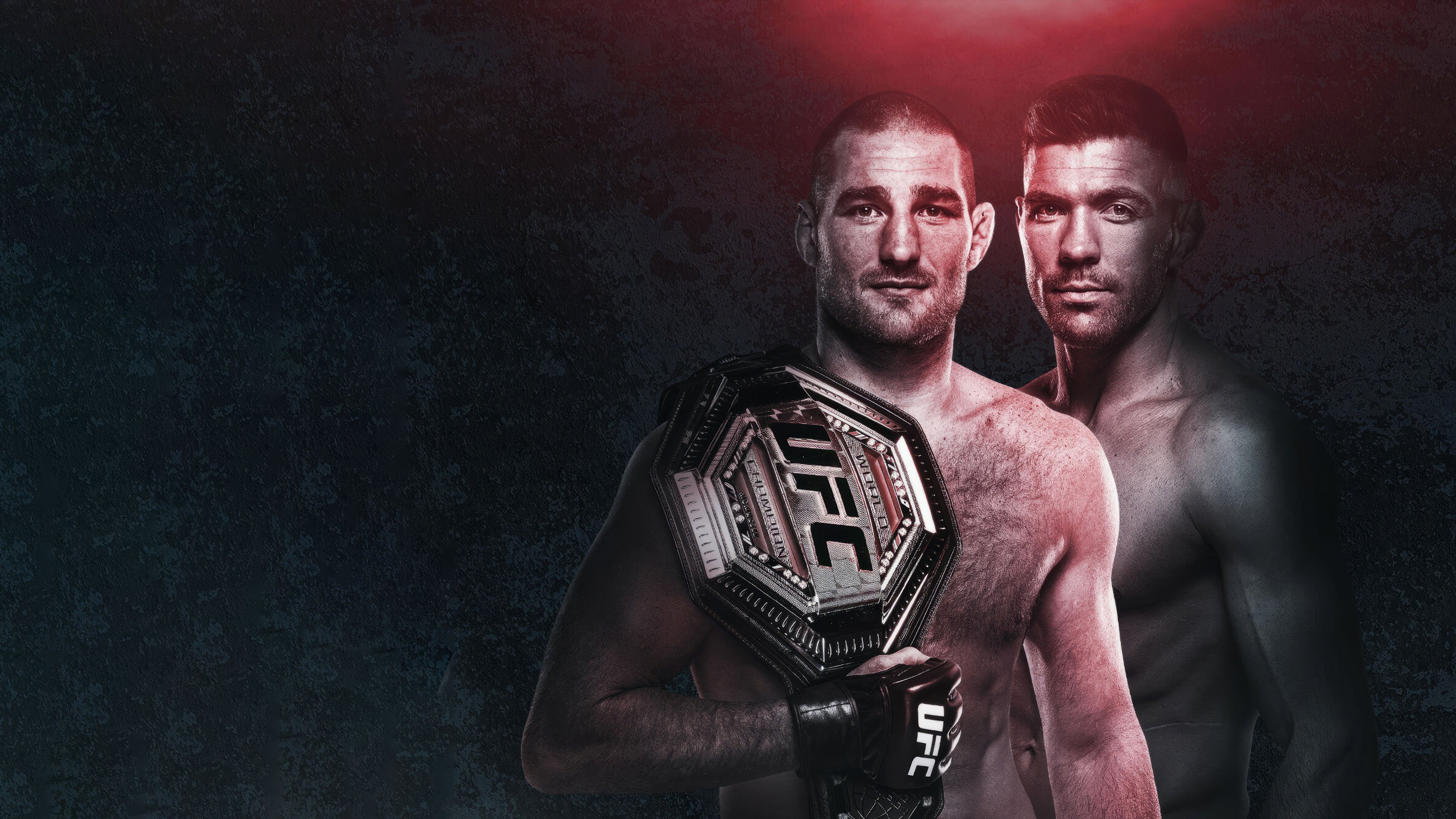 UFC 297: Strickland vs. du Plessis Background