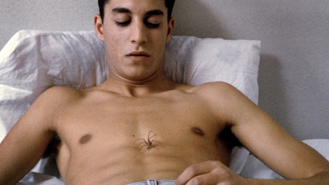 Open Bodies Background