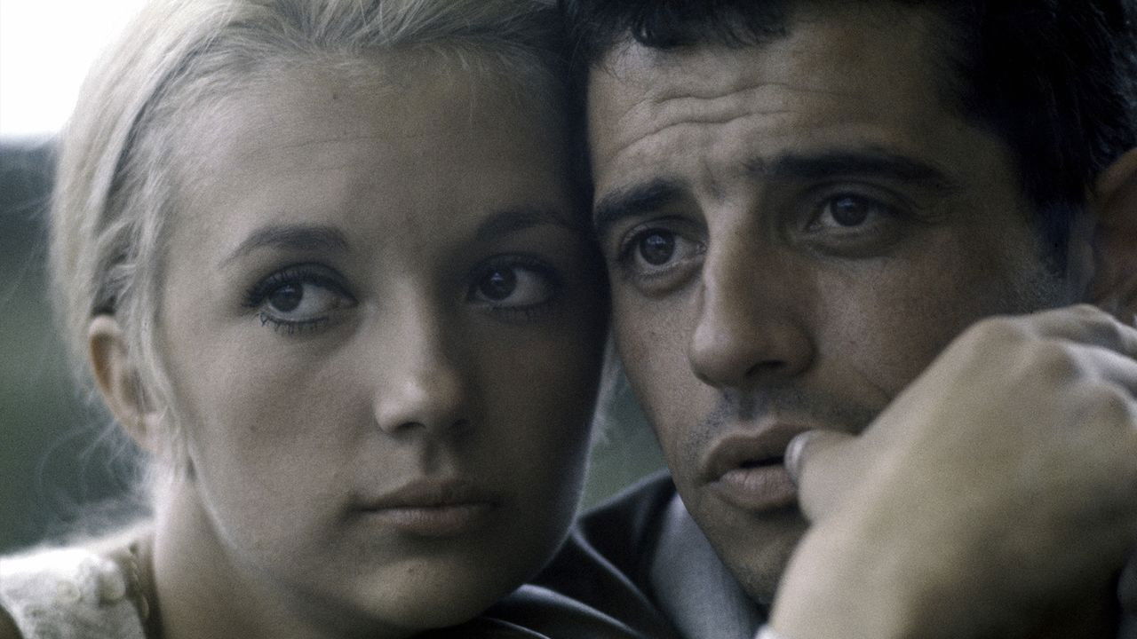 Life Love Death Background