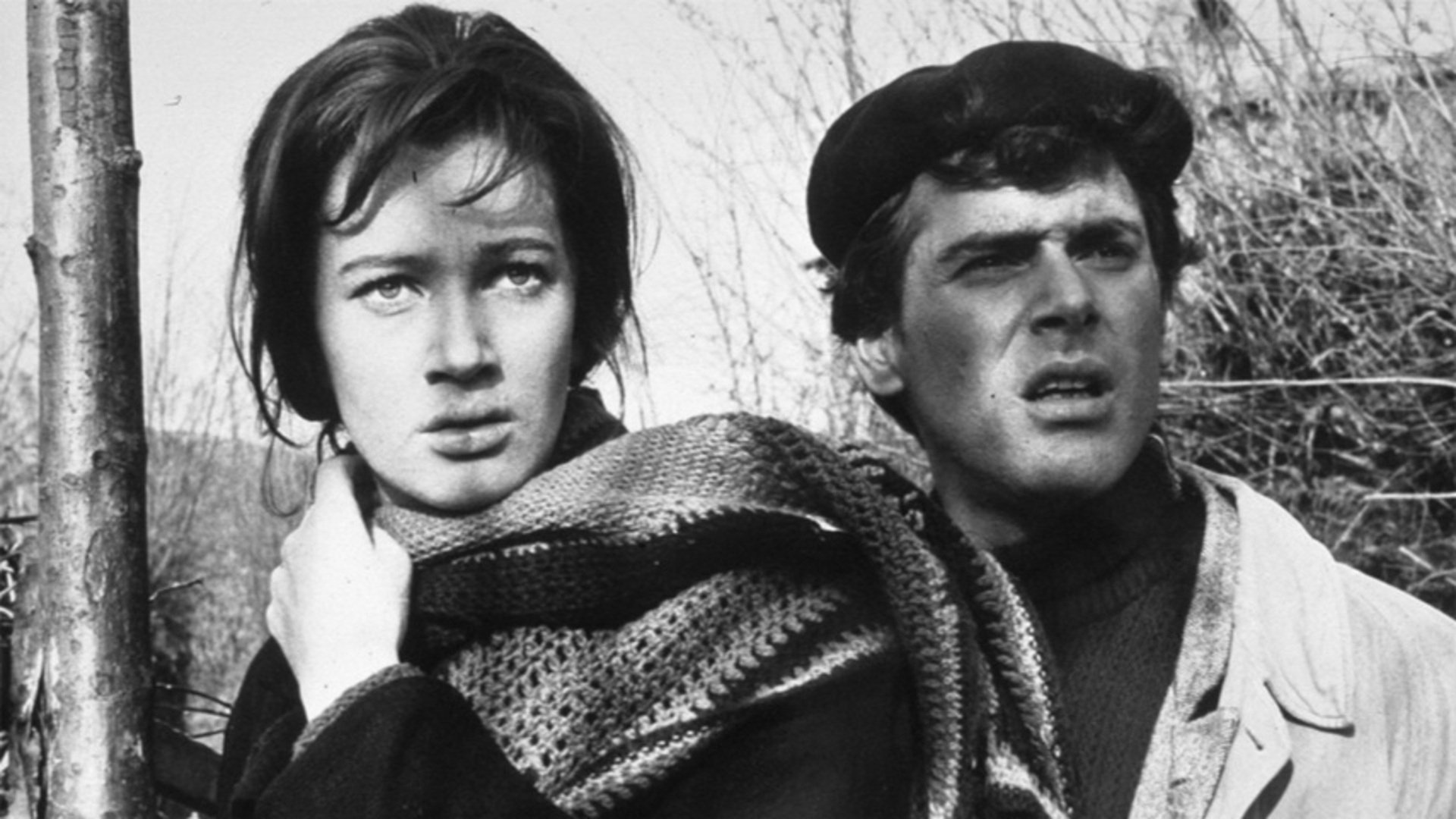 A Day for Lionhearts Background