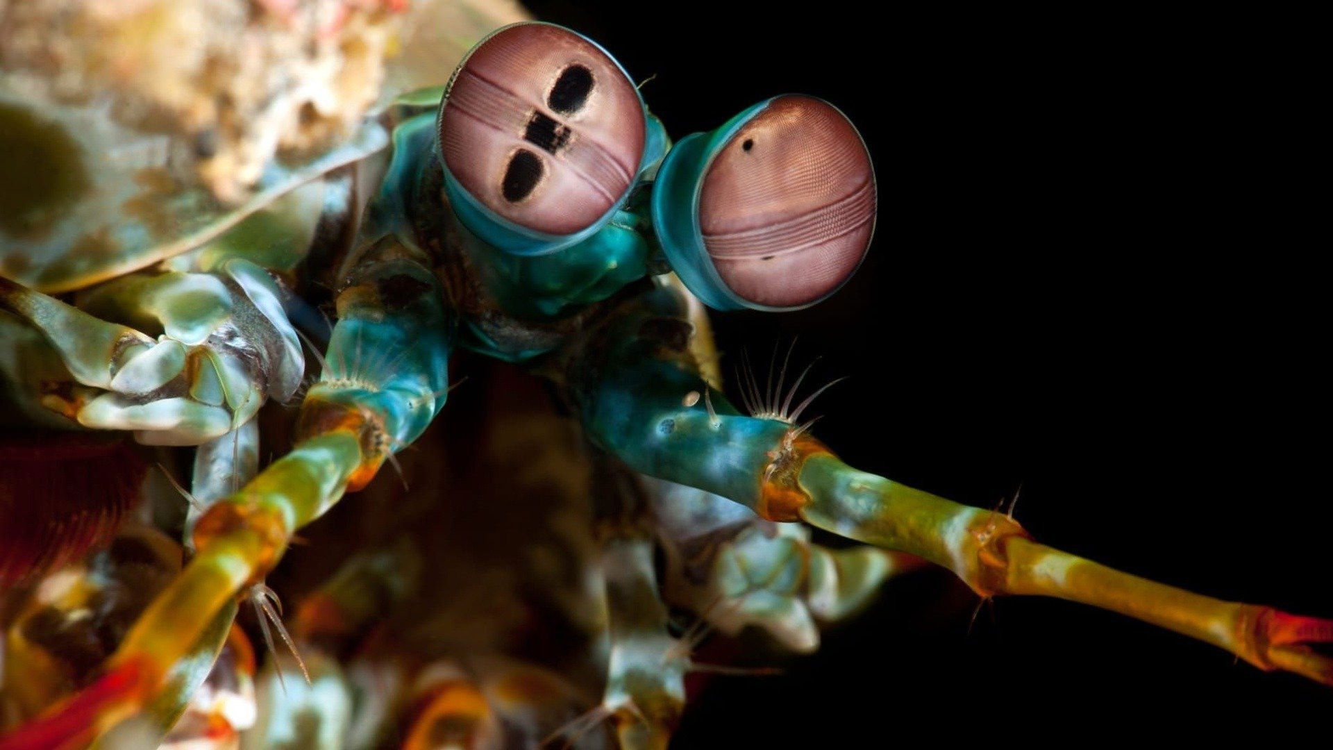 Ocean's Weirdest Background