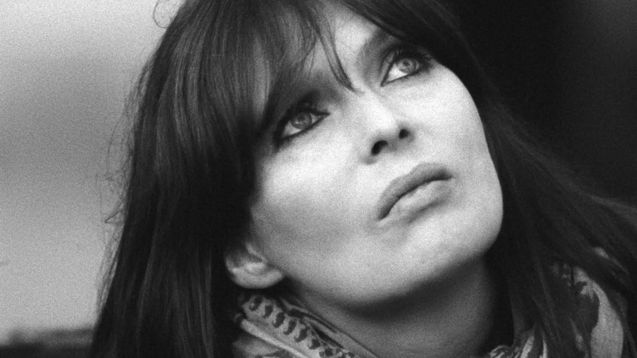 Nico Icon Background