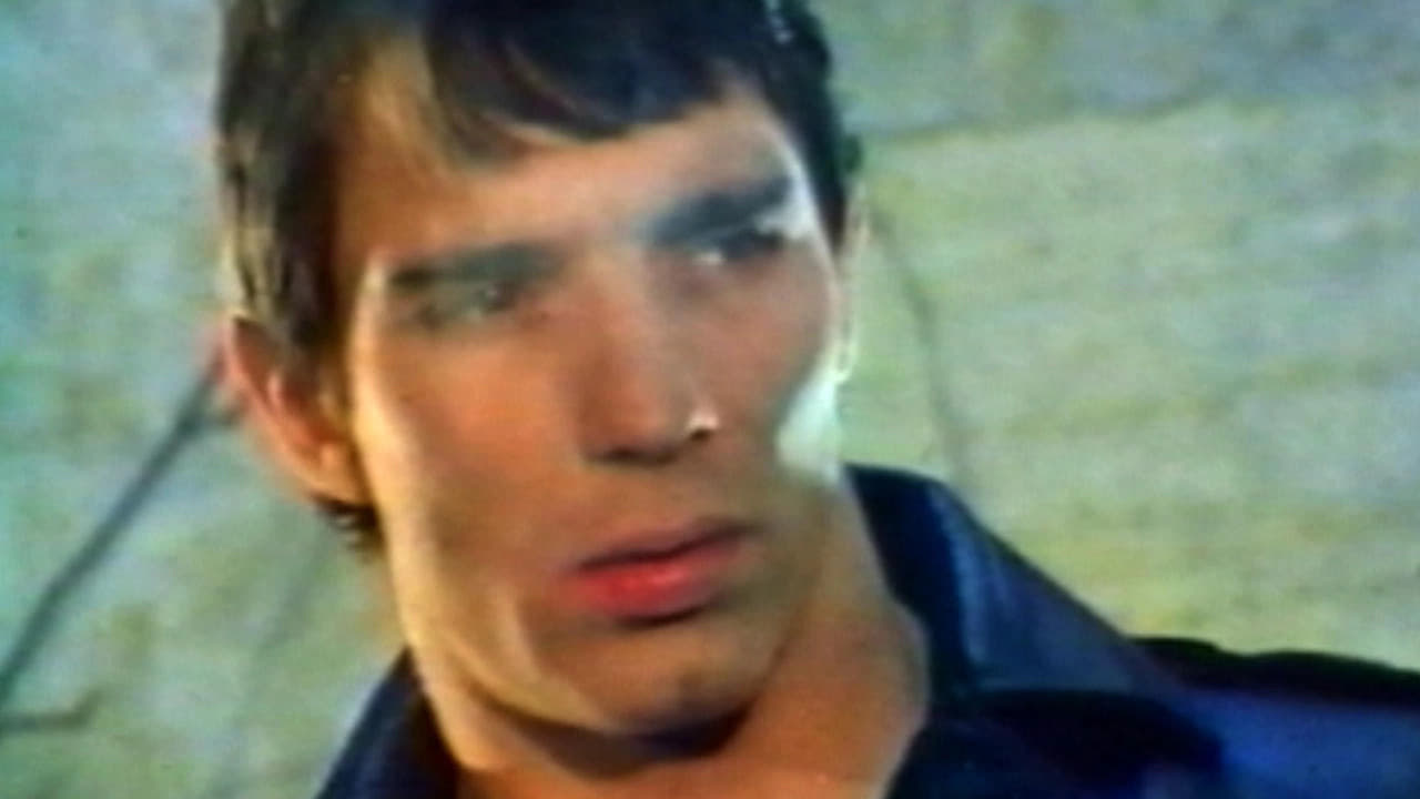 Mondo Homo: A Study of French Gay Porn in the '70s Background