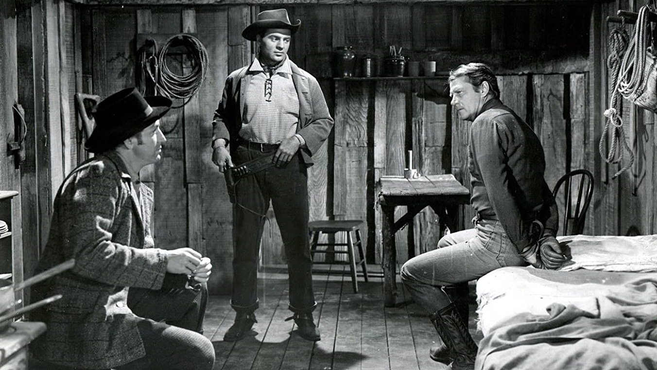 Saddle Tramp Background