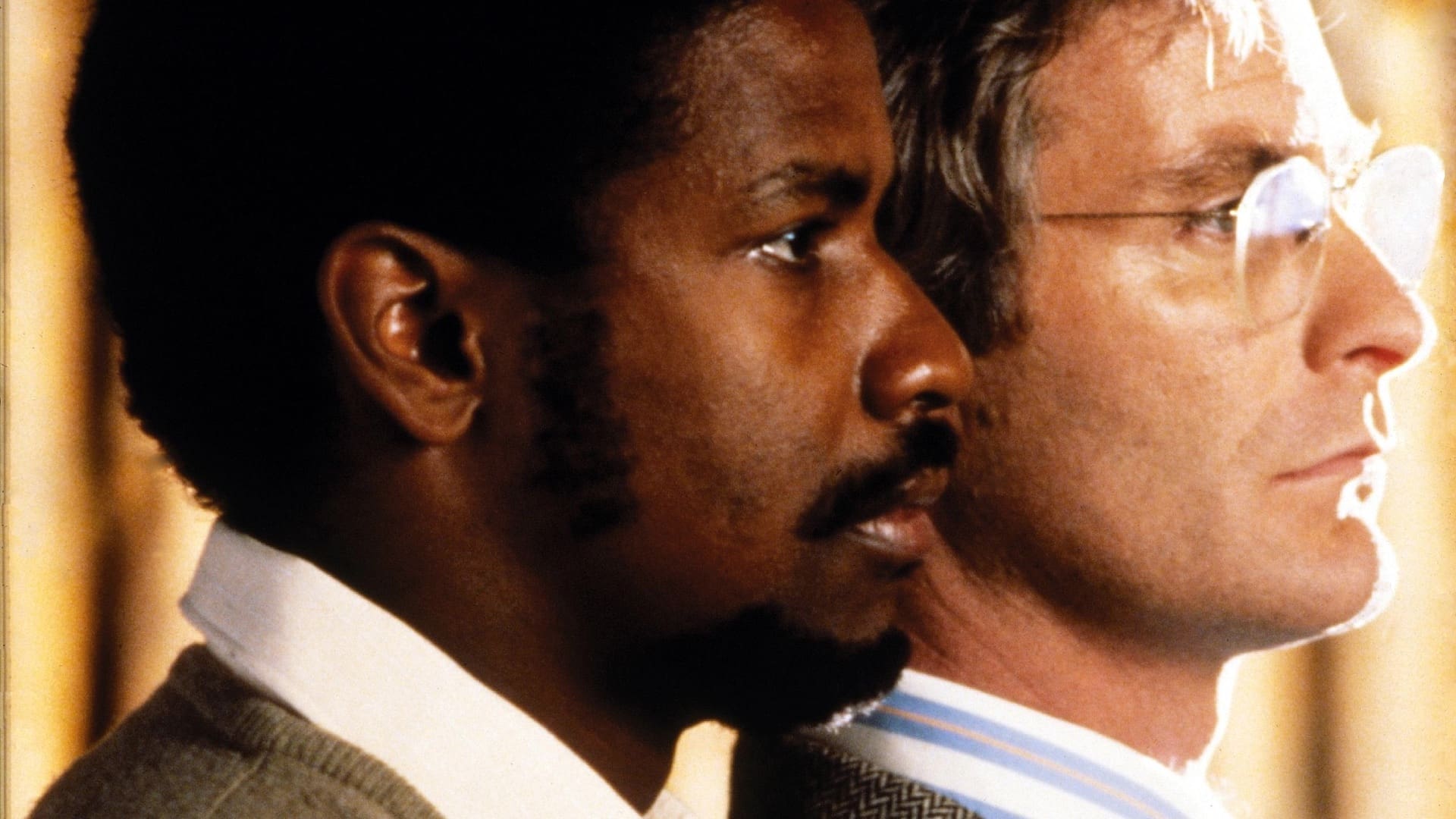 Cry Freedom Background