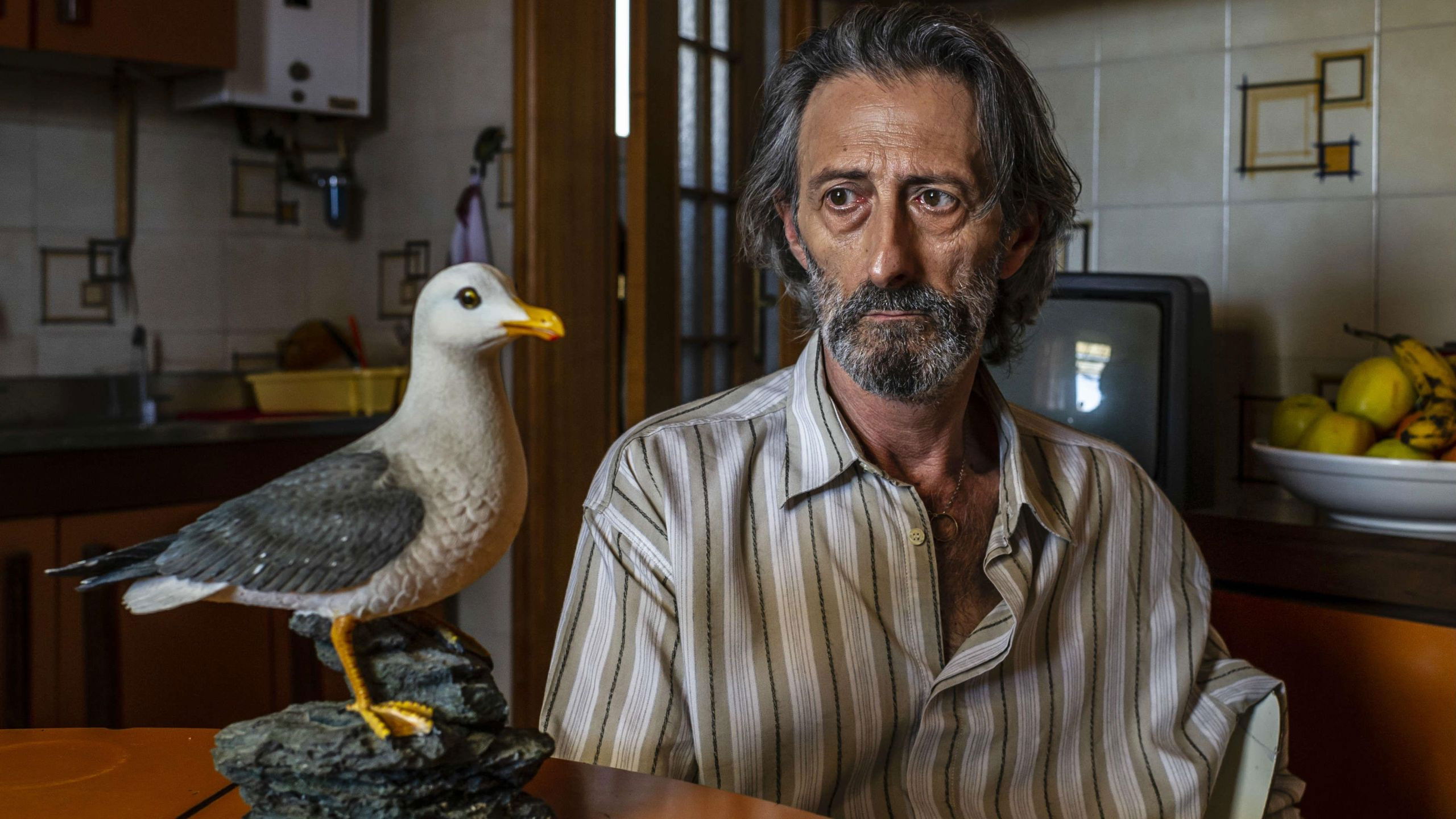 The Finch Thief Background