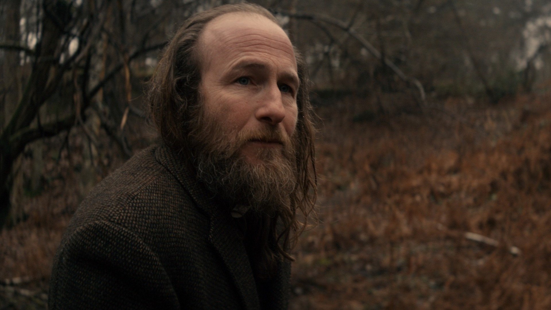 Blackwood Background