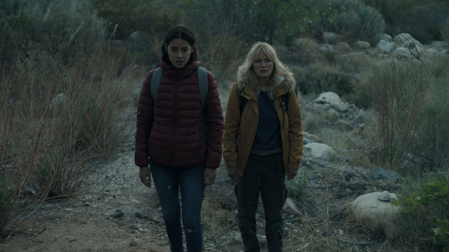 The Aviary Background