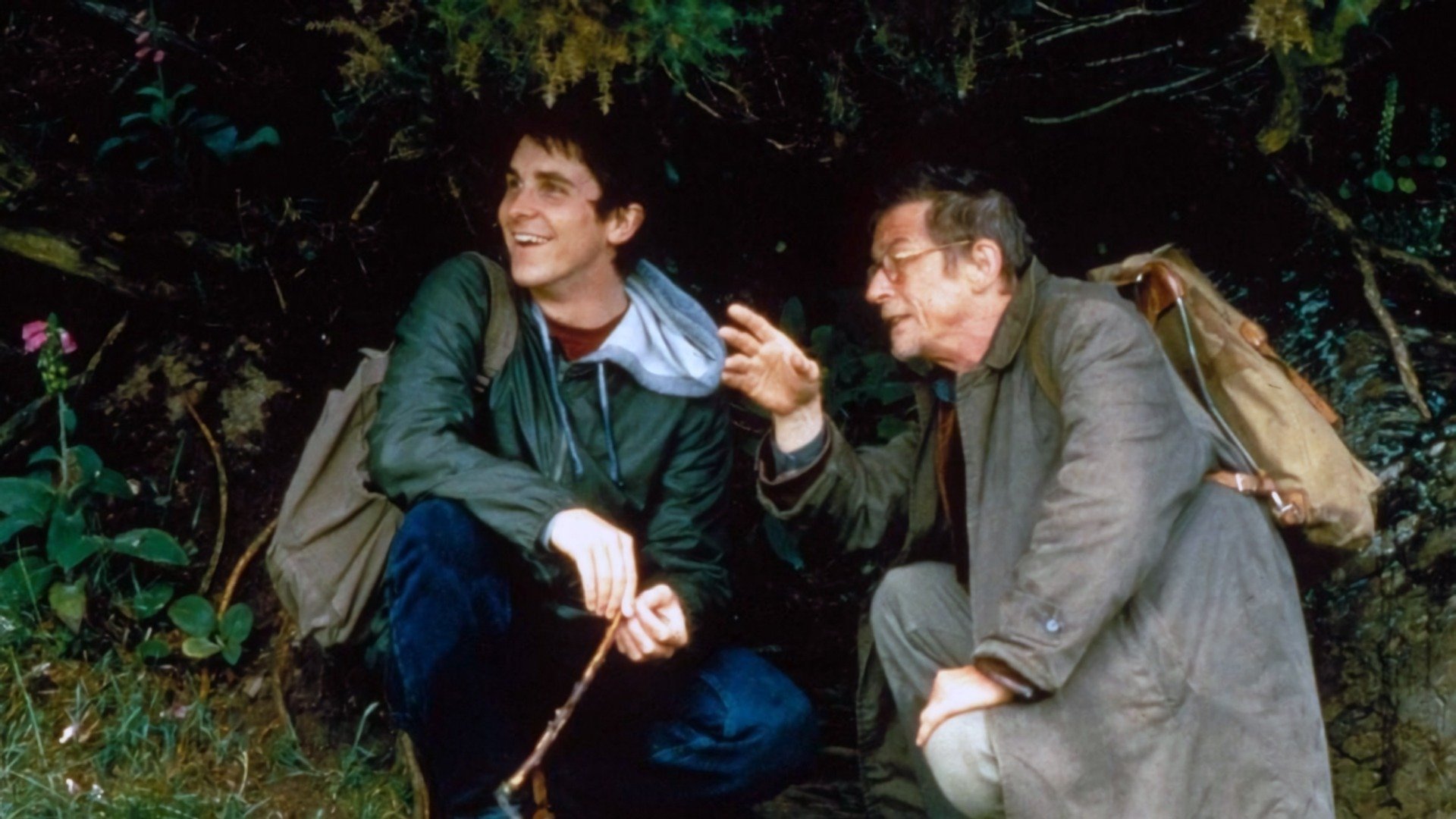 All the Little Animals Background