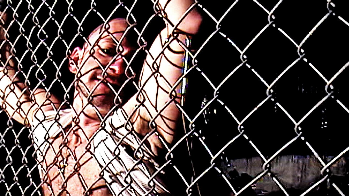 Xx: Where Your Heart Should Be Background