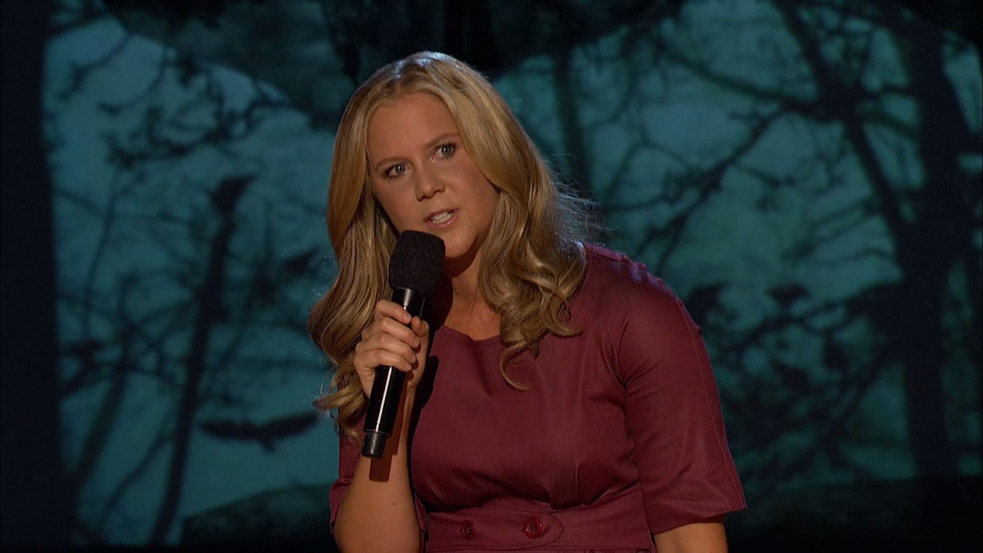 Amy Schumer: Mostly Sex Stuff Background