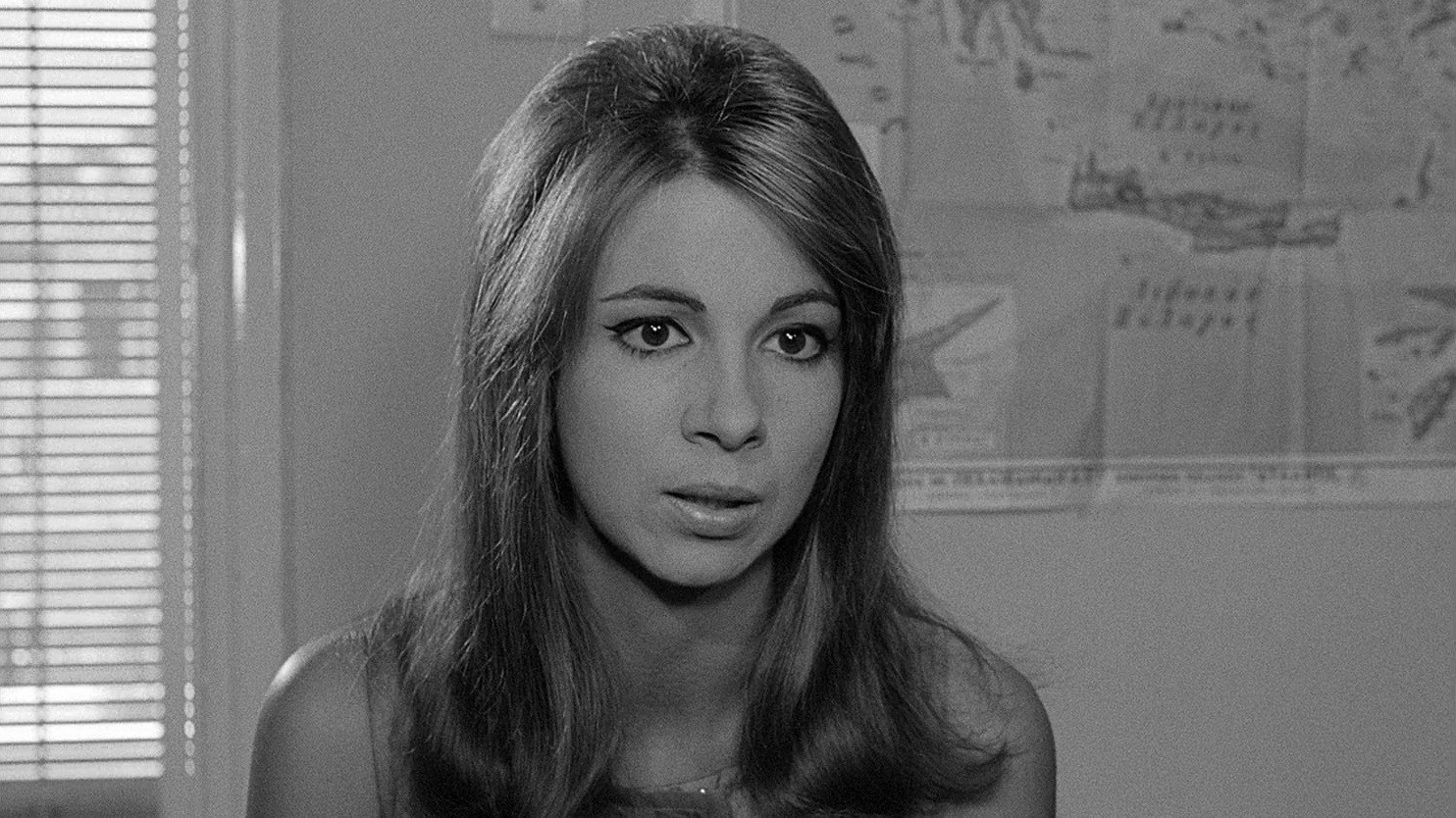 The Hot Month of August Background