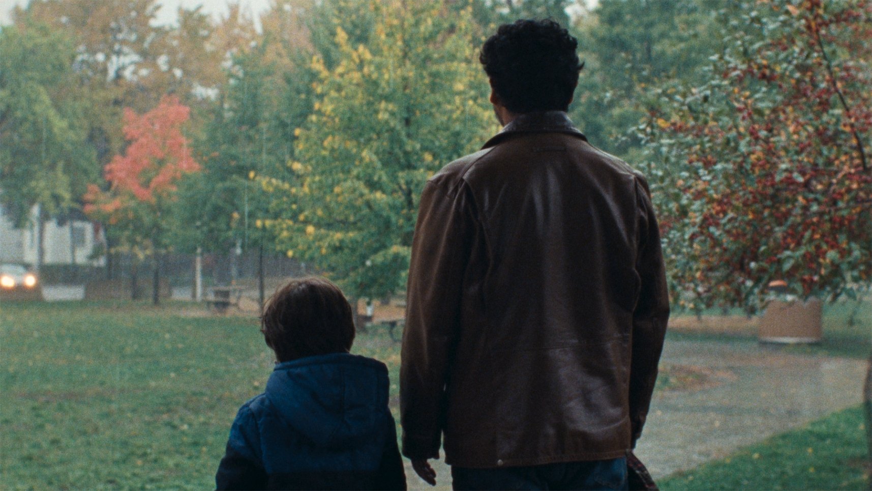 The Coyote Background