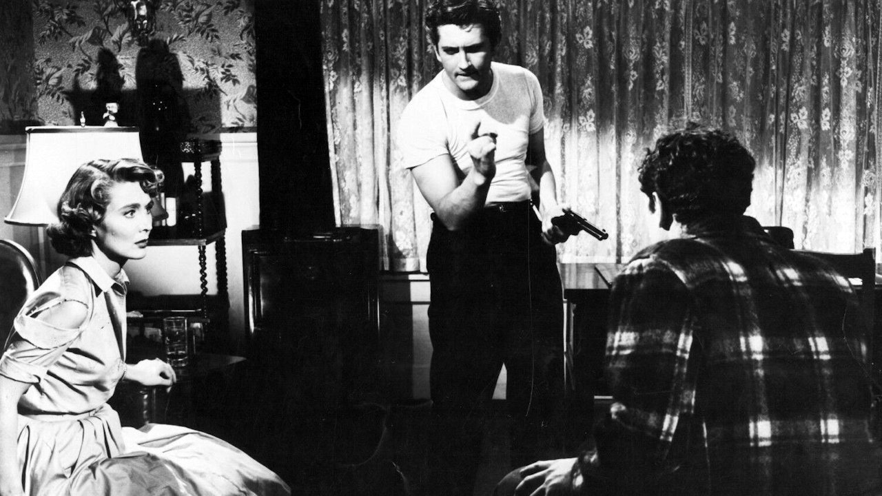 The Shadow on the Window Background