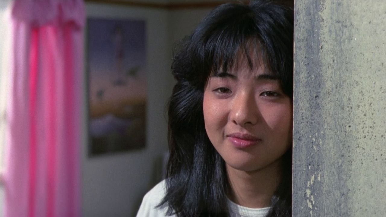 Pink Curtain Background