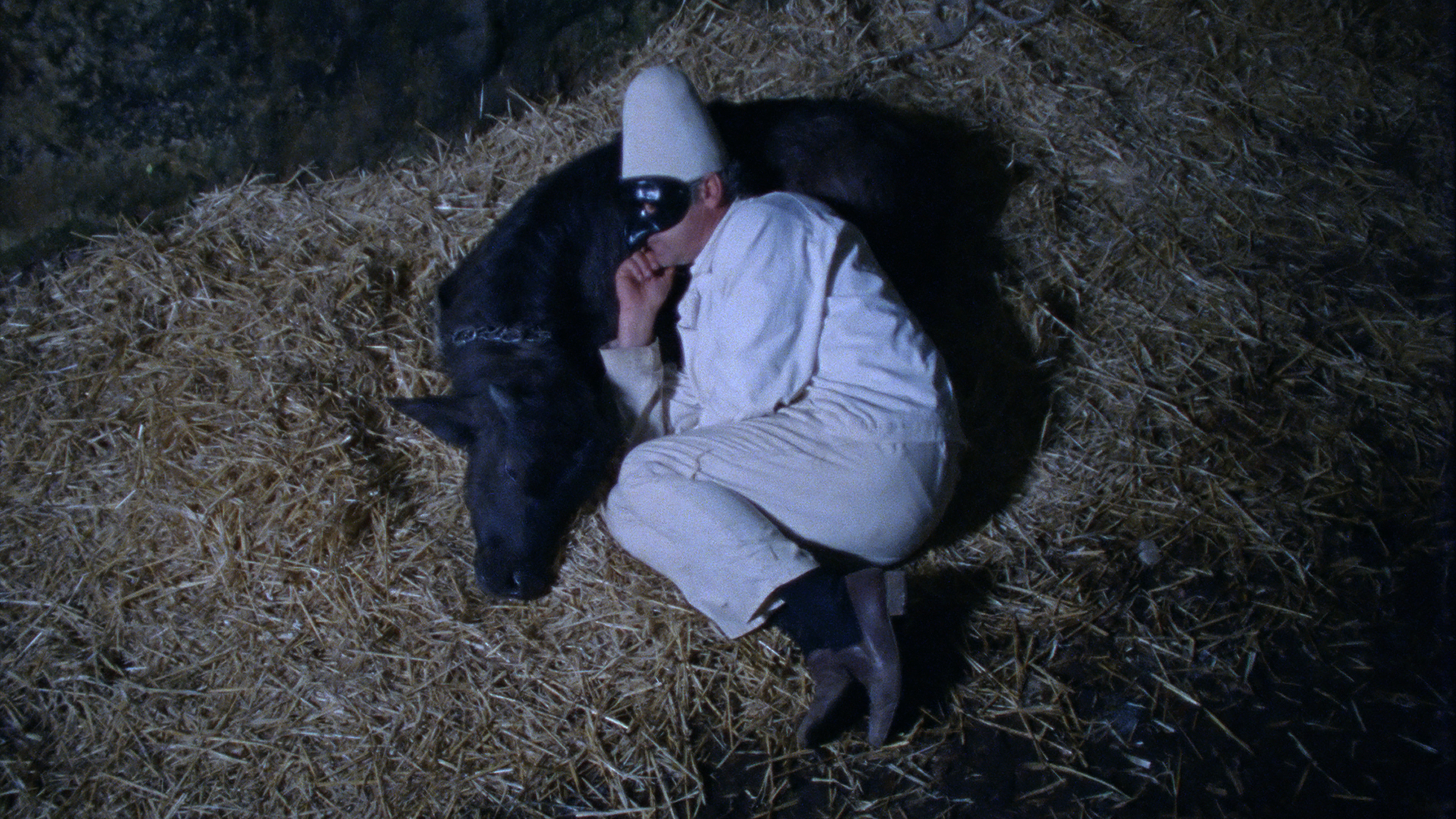 Lost and Beautiful Background