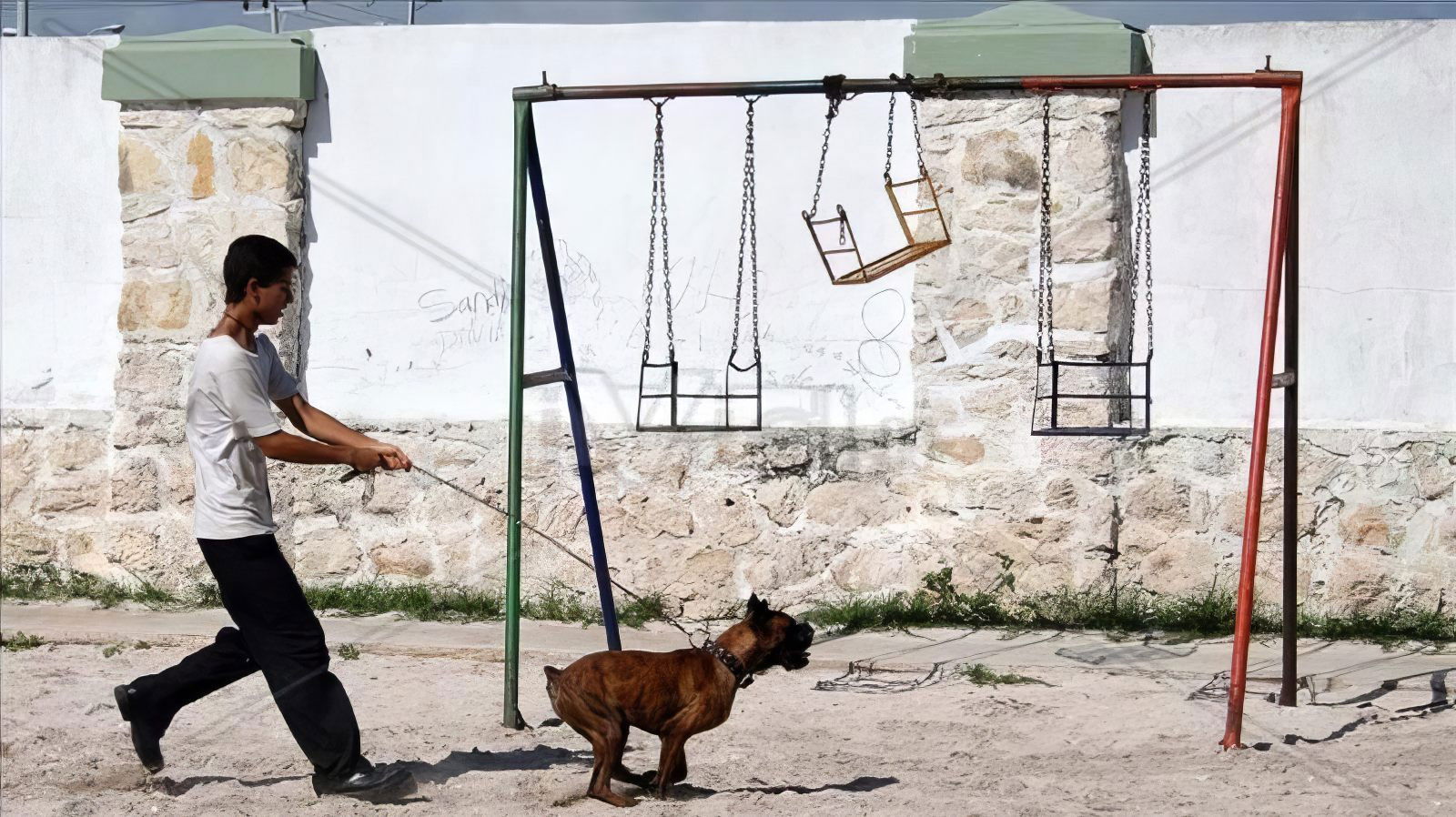 Lake Tahoe Background