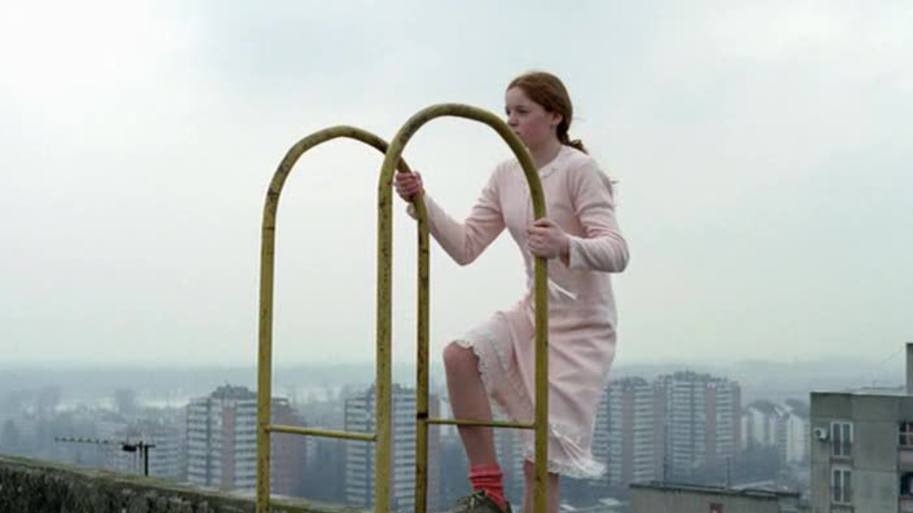 Love and Other Crimes Background