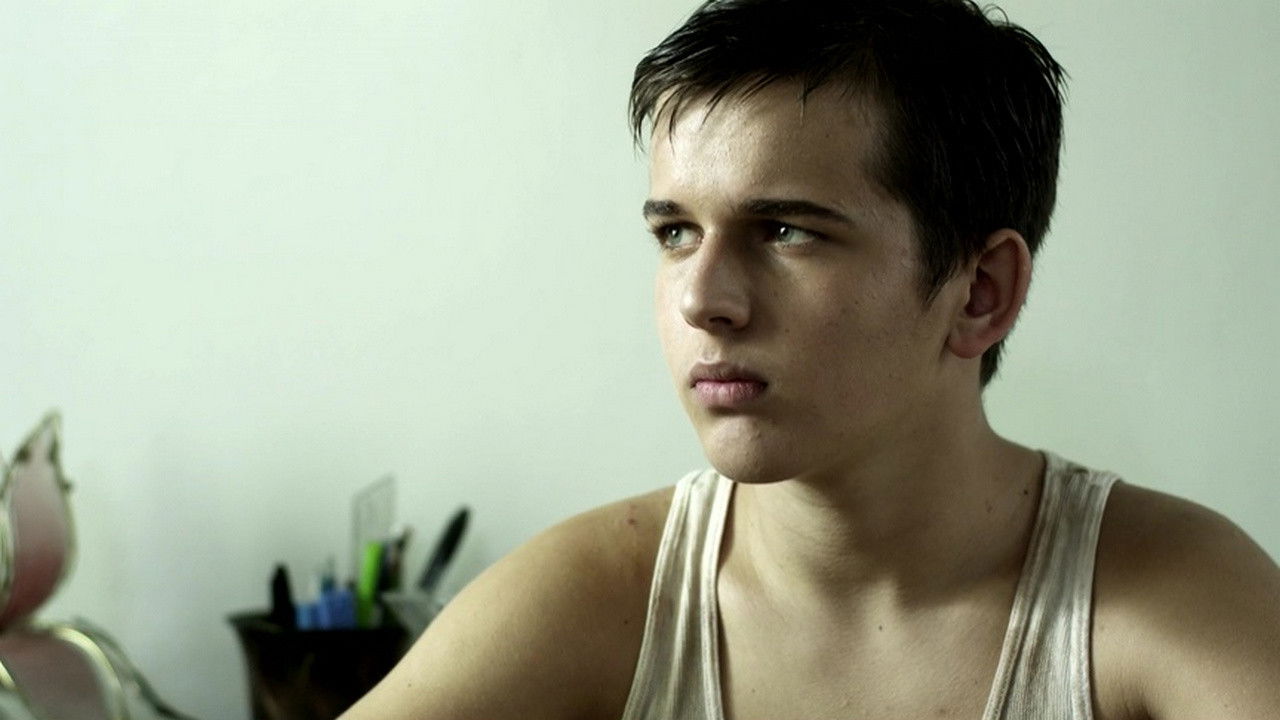 The Violation Background