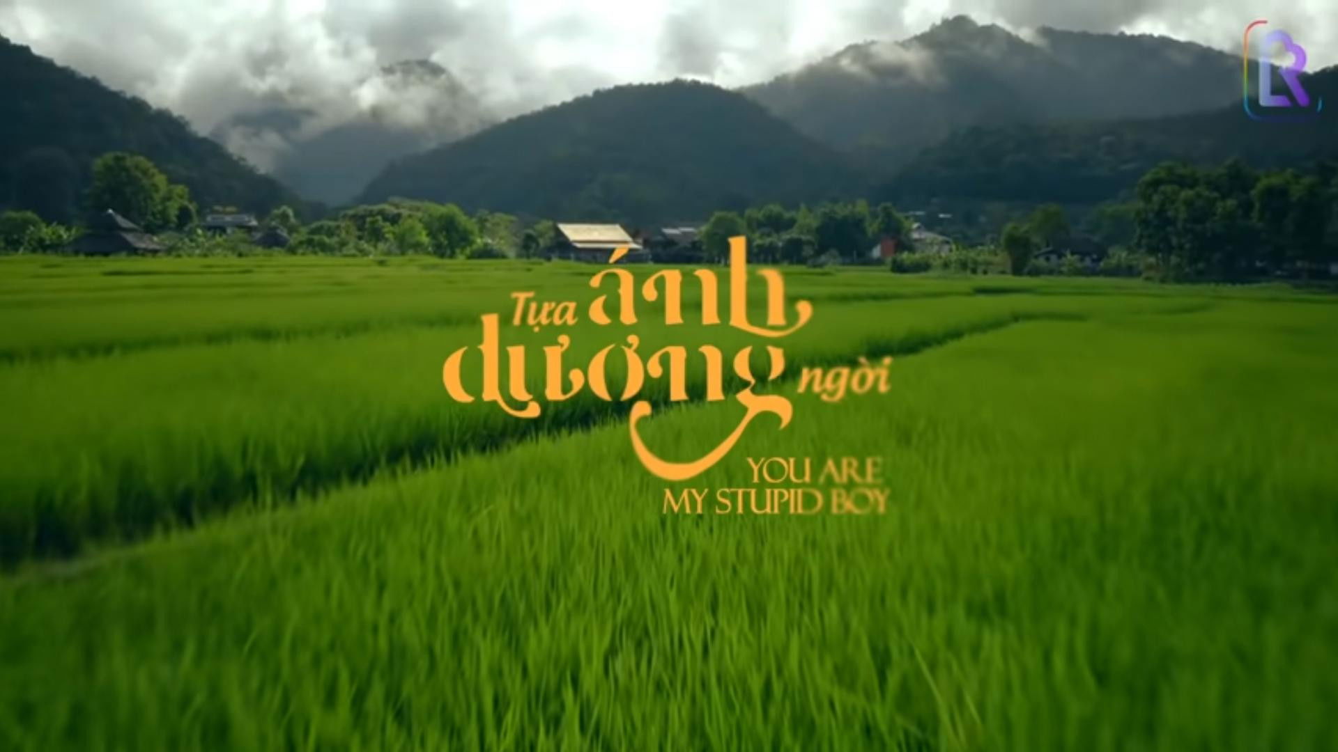 You Are My Stupid Boy Background