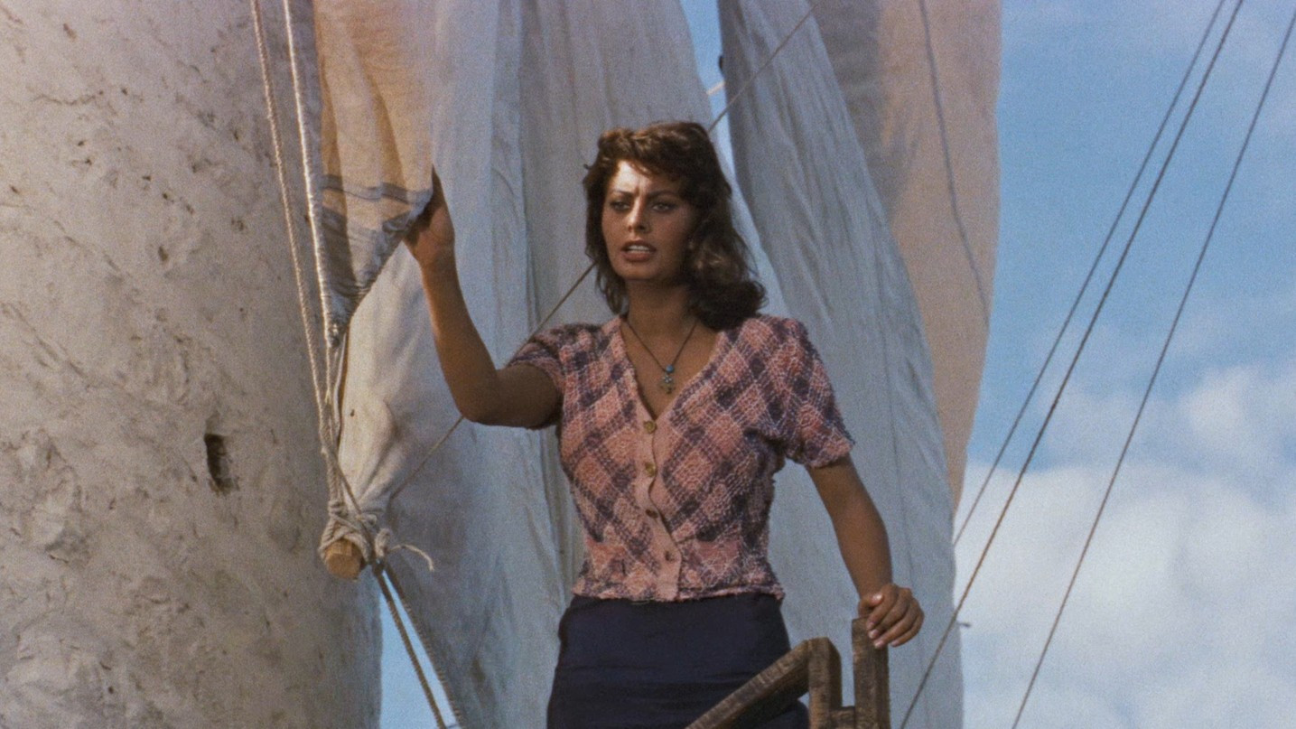 Boy on a Dolphin Background